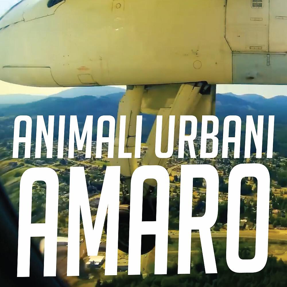 Релиз Amaro