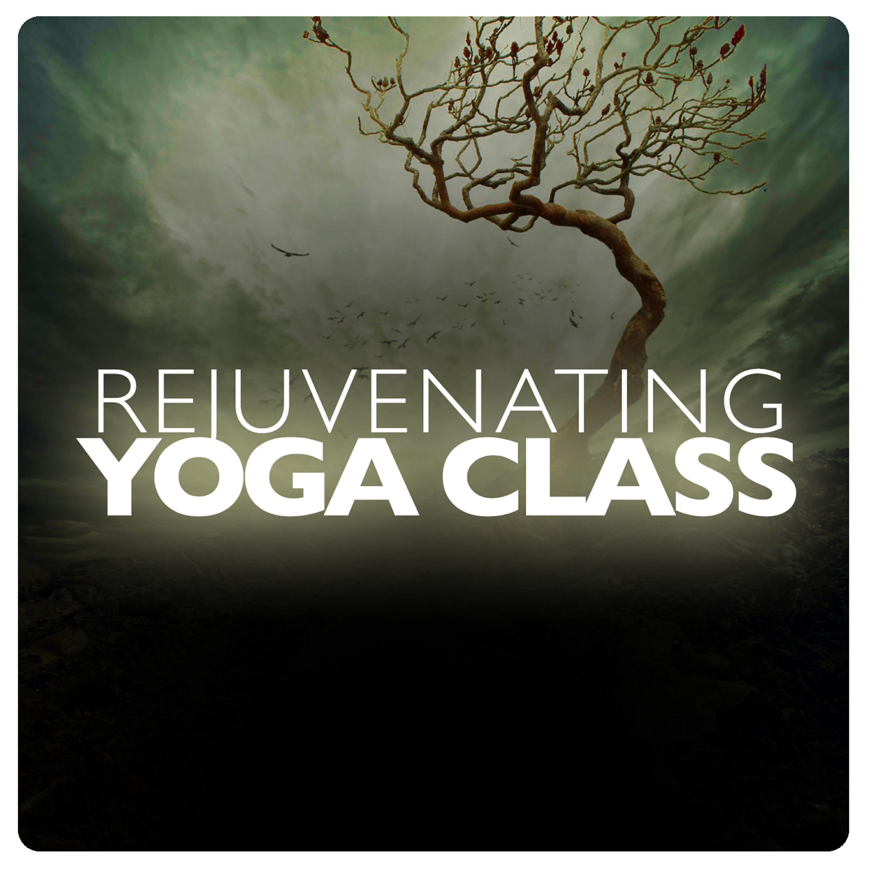Yoga Class Music
