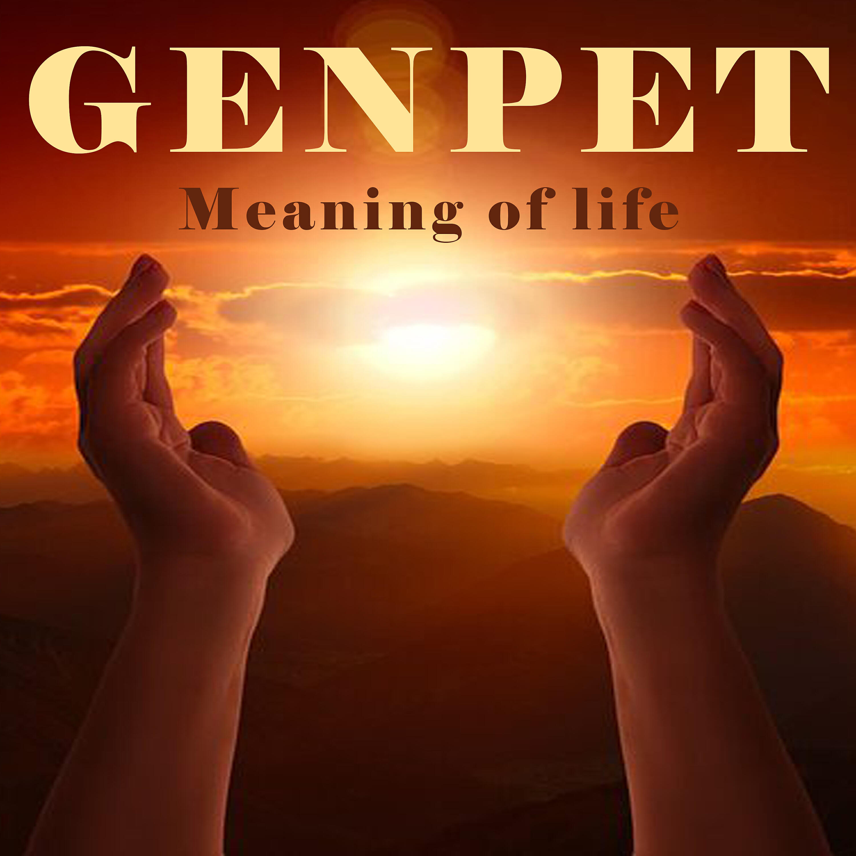 Релиз Meaning of Life