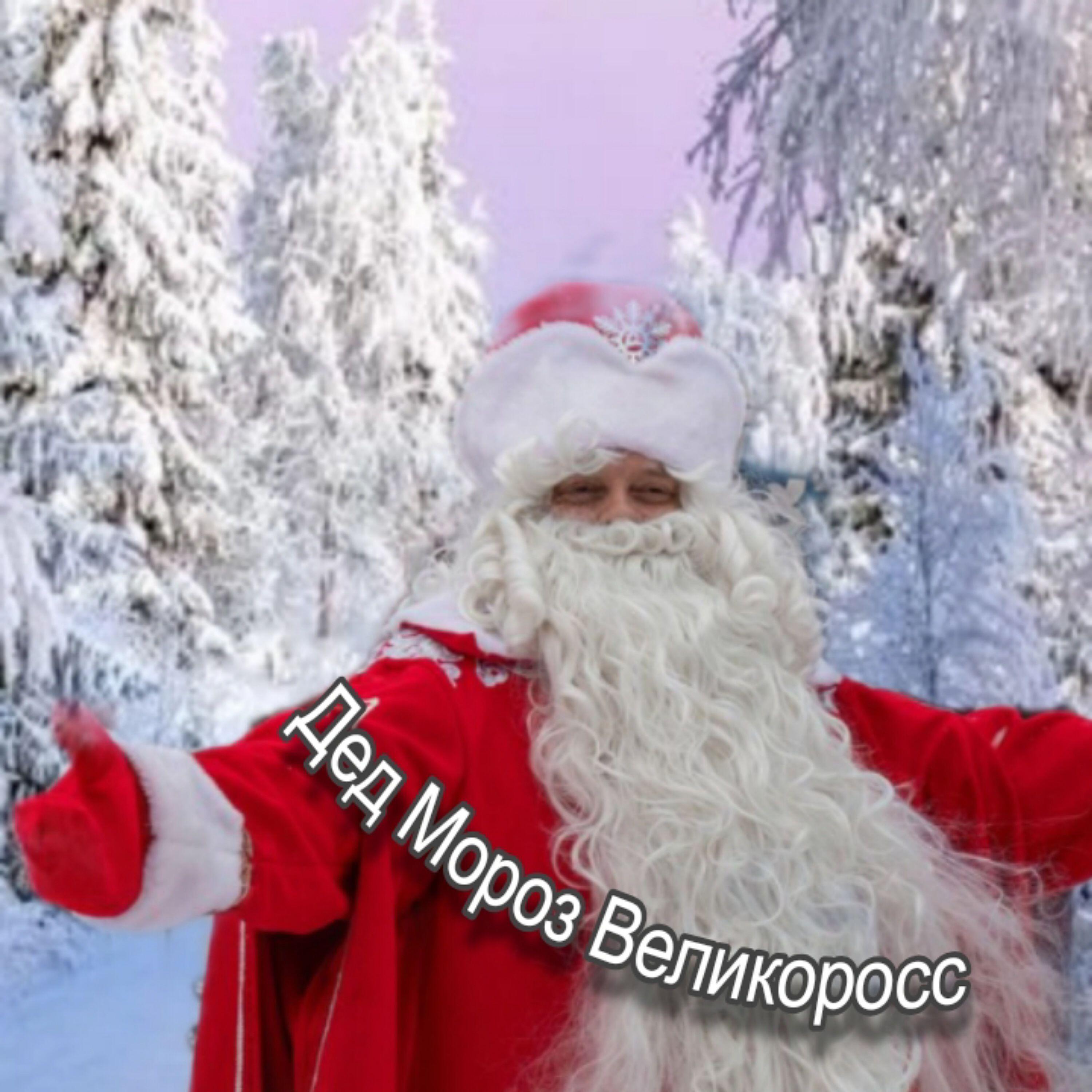 Никита Кеддо