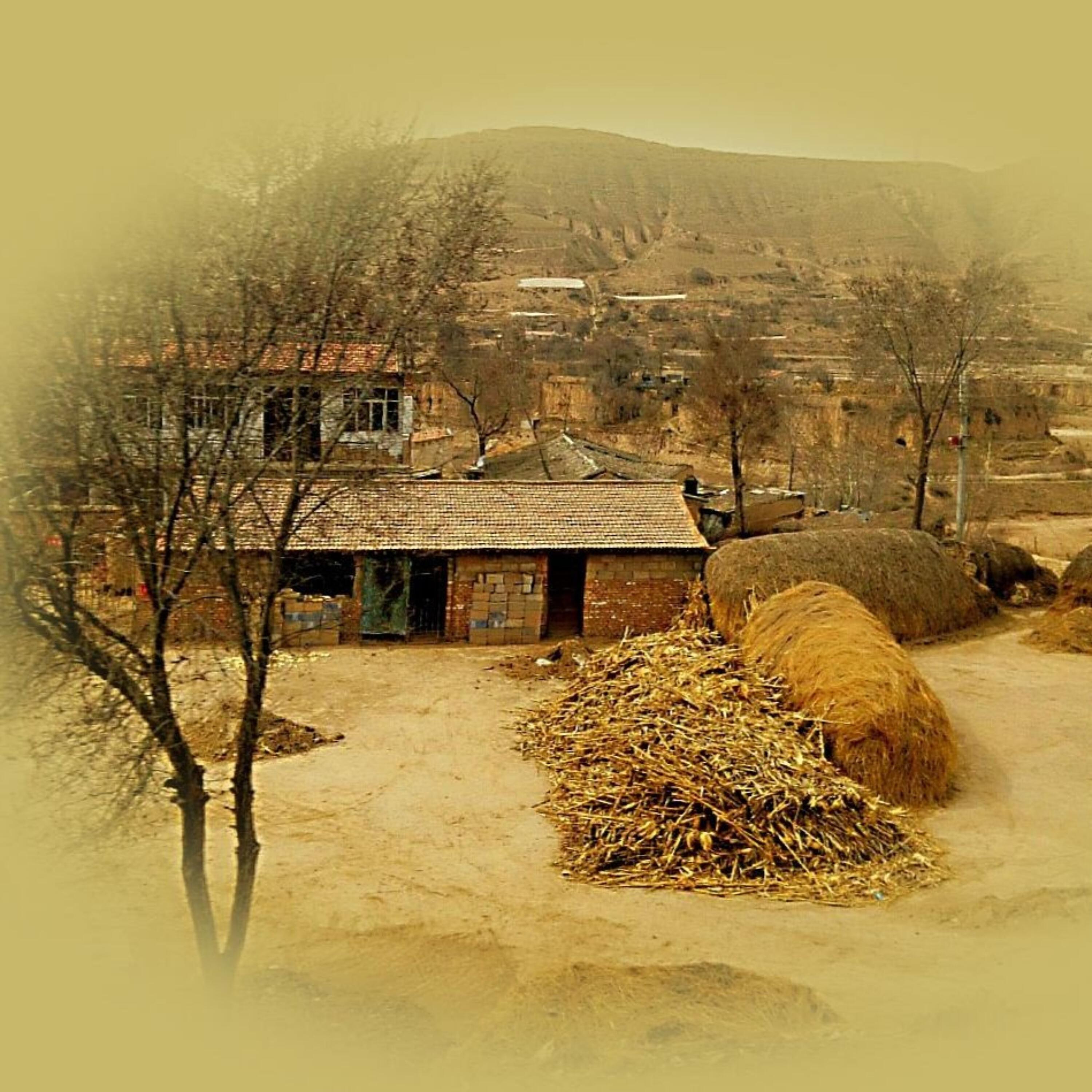 Релиз 黄土地  老父亲