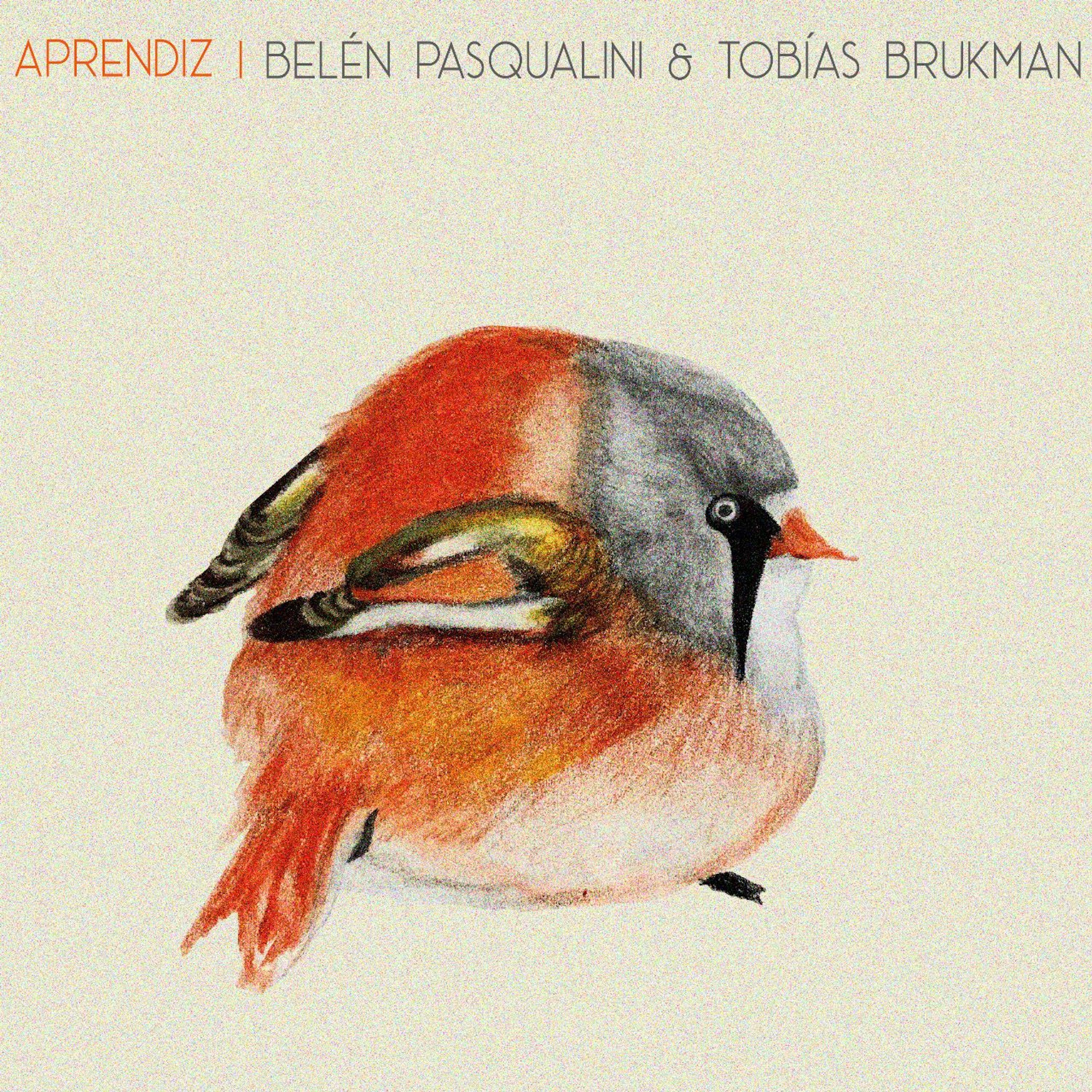 Релиз Aprendiz
