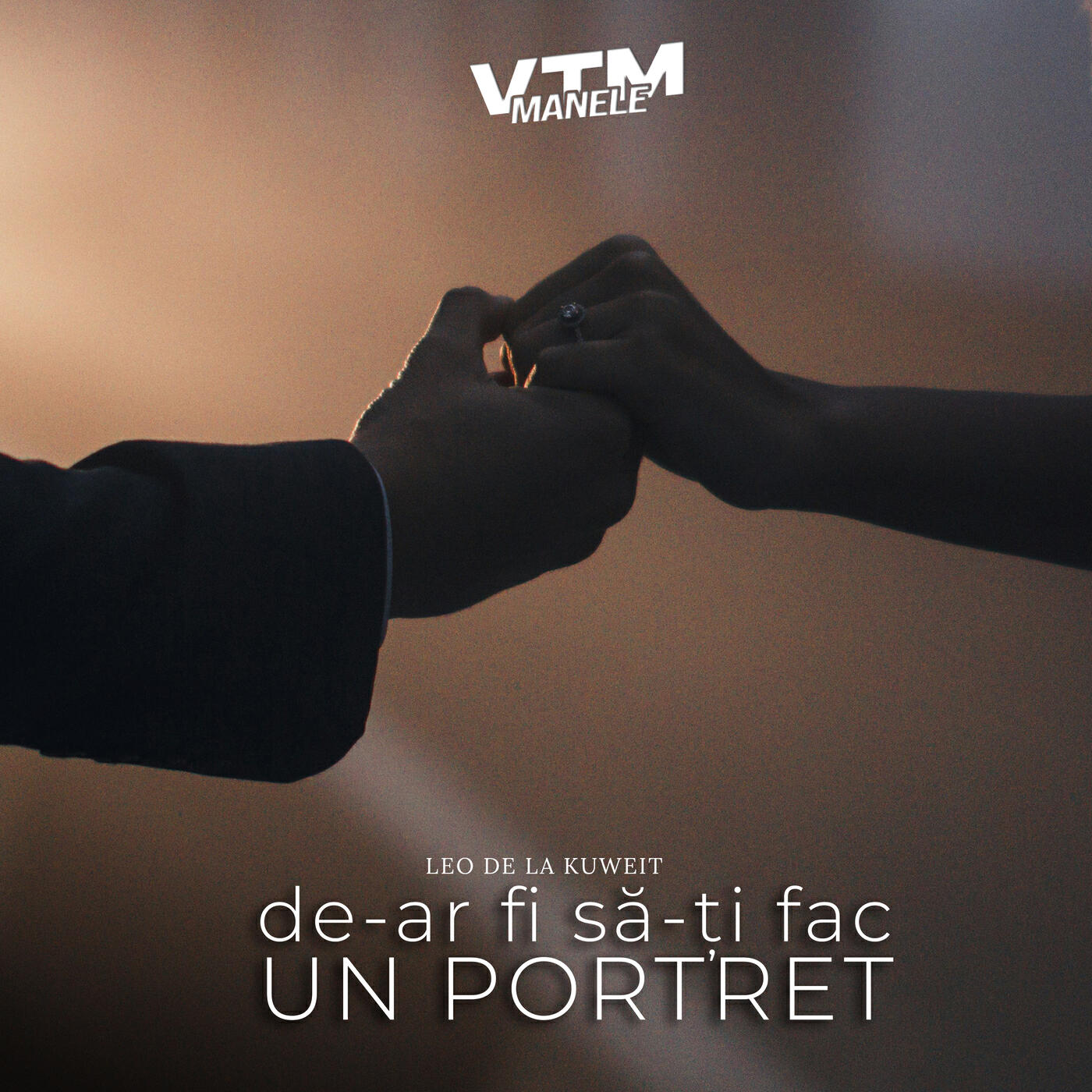 Релиз De-ar fi să-ți fac un portret
