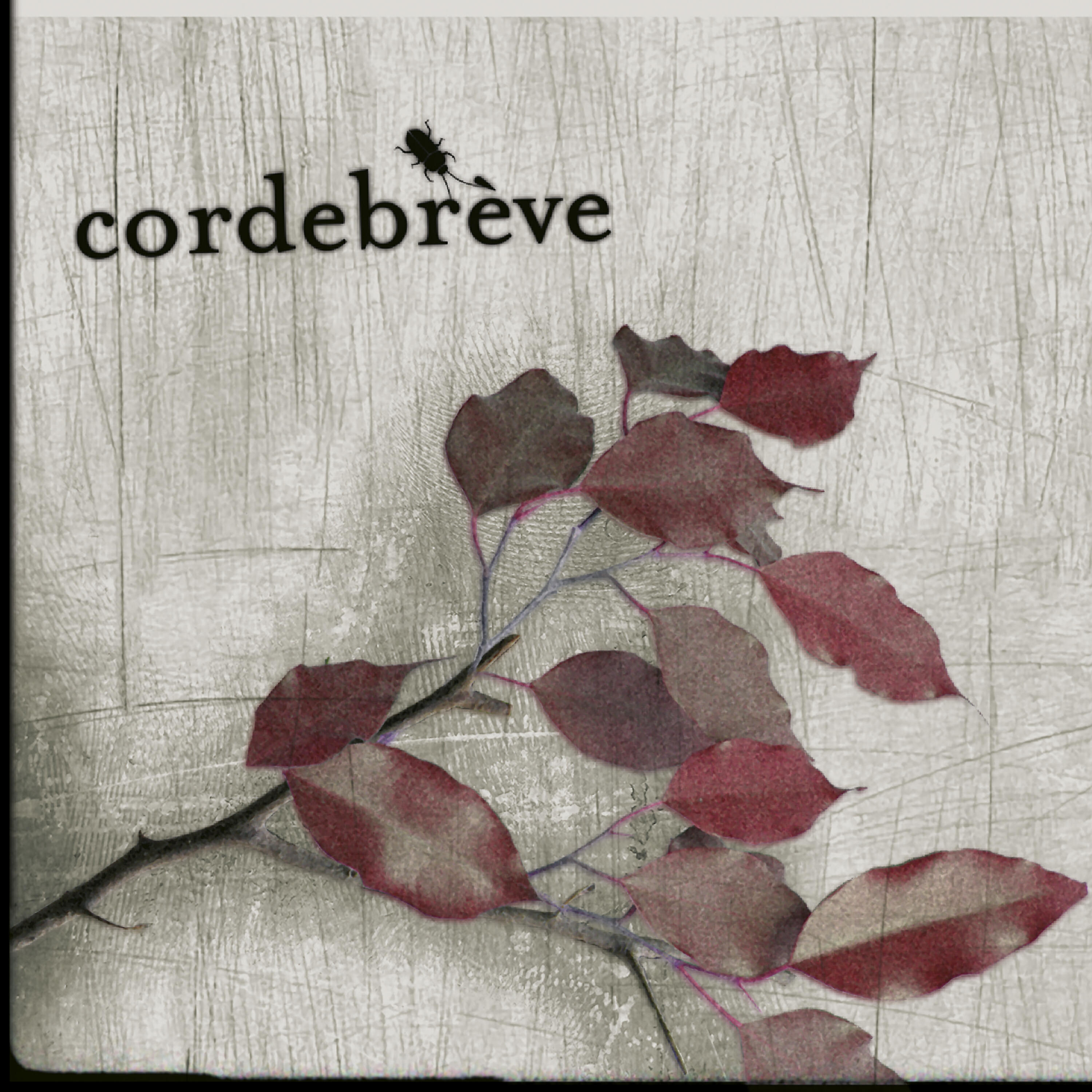 Релиз Corde Brève