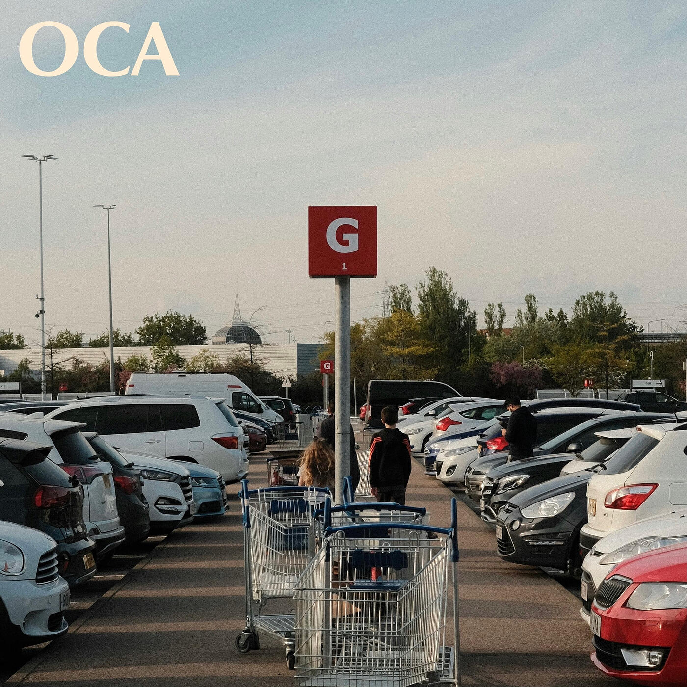 Oca