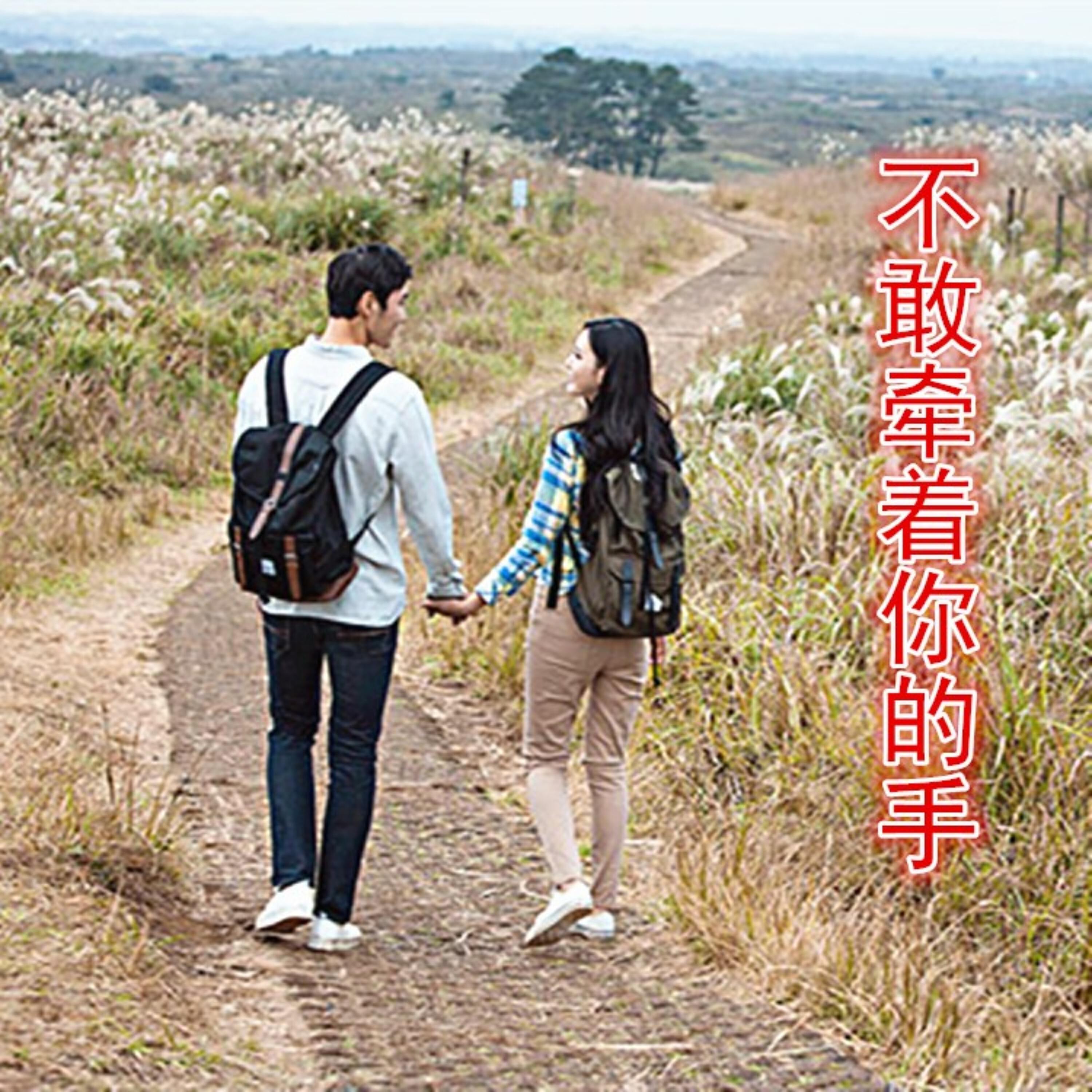 Релиз 不敢牵着你的手