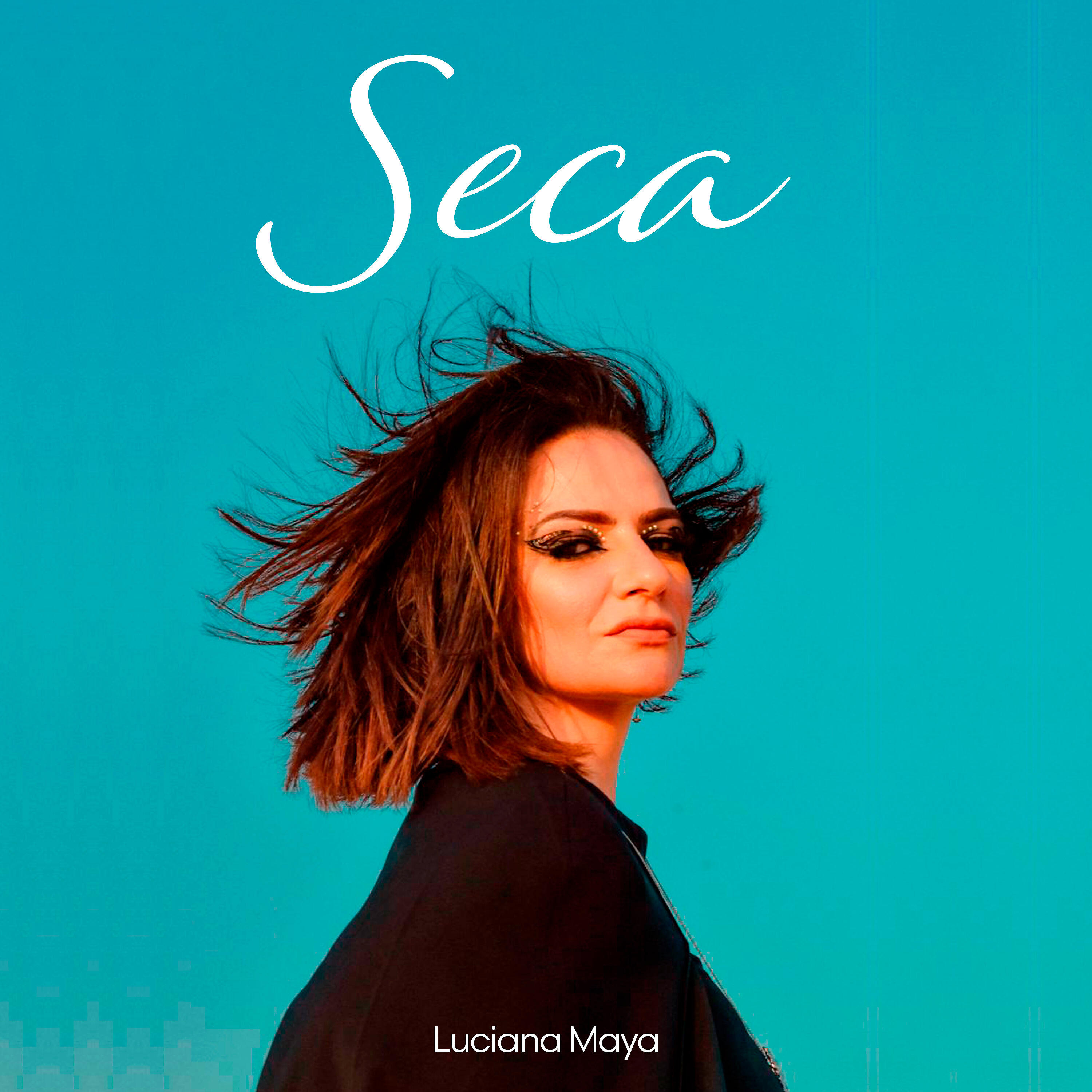 Релиз Seca