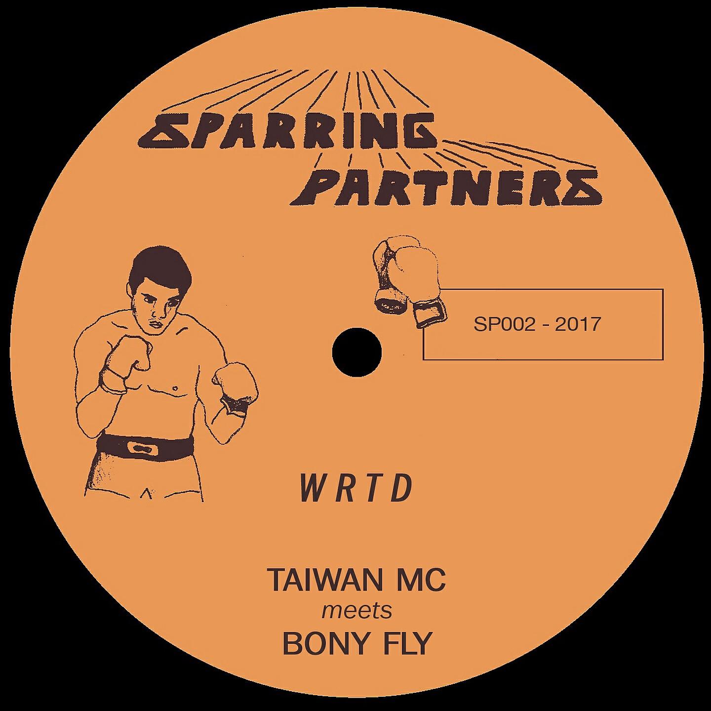 Скачать песню Bony Fly - VERS бесплатно в MP3 для Android и iOS