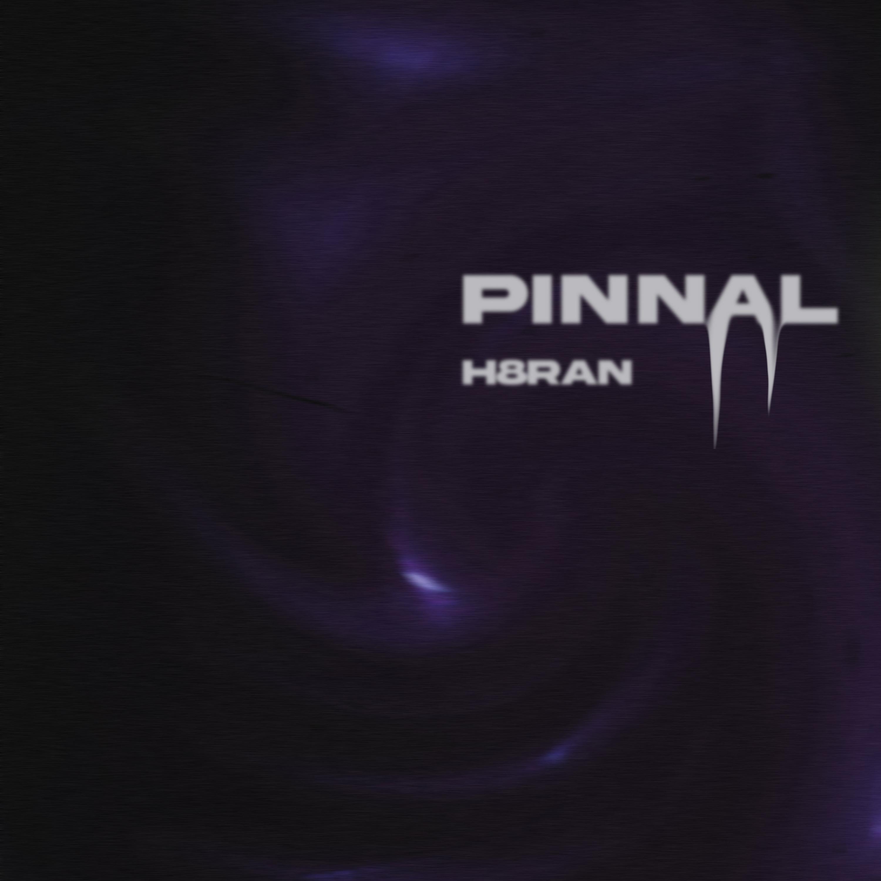 Релиз Pinnal