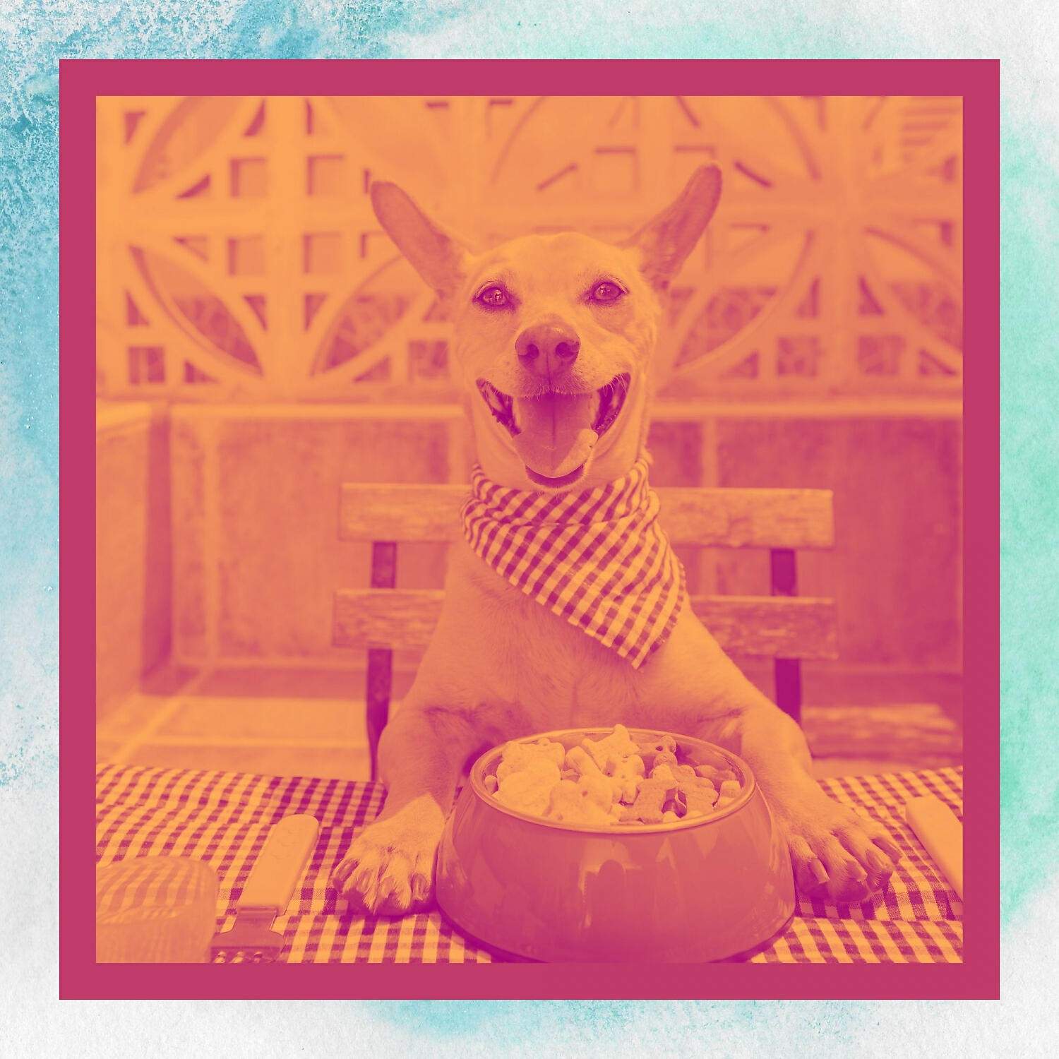 Релиз Music for Calming Puppies - Bossanova