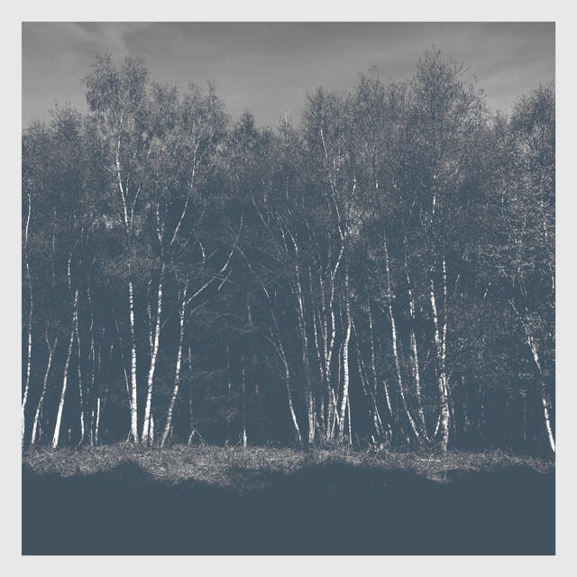 Релиз Resonance