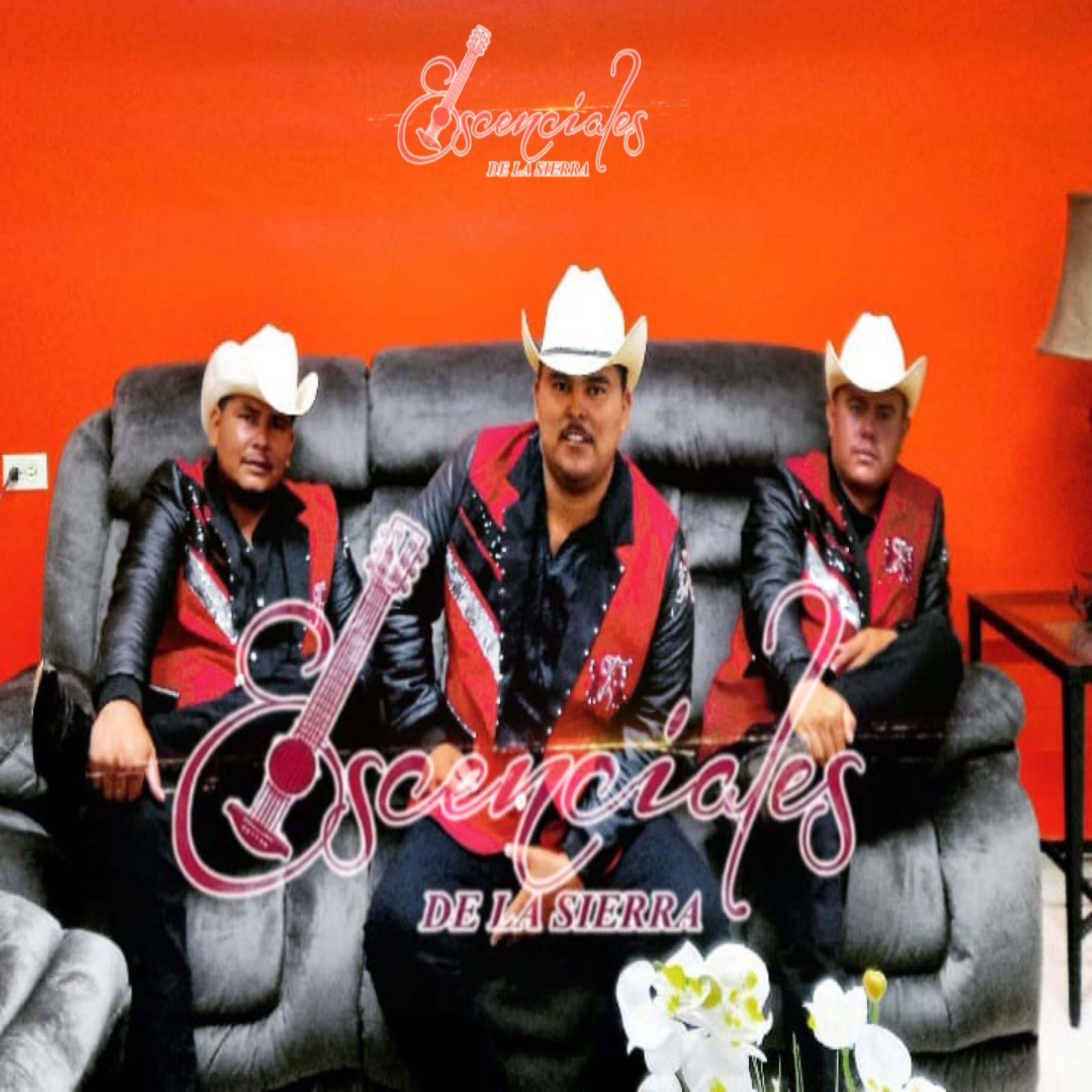 Релиз Puras Cumbias Pa´ Bailar