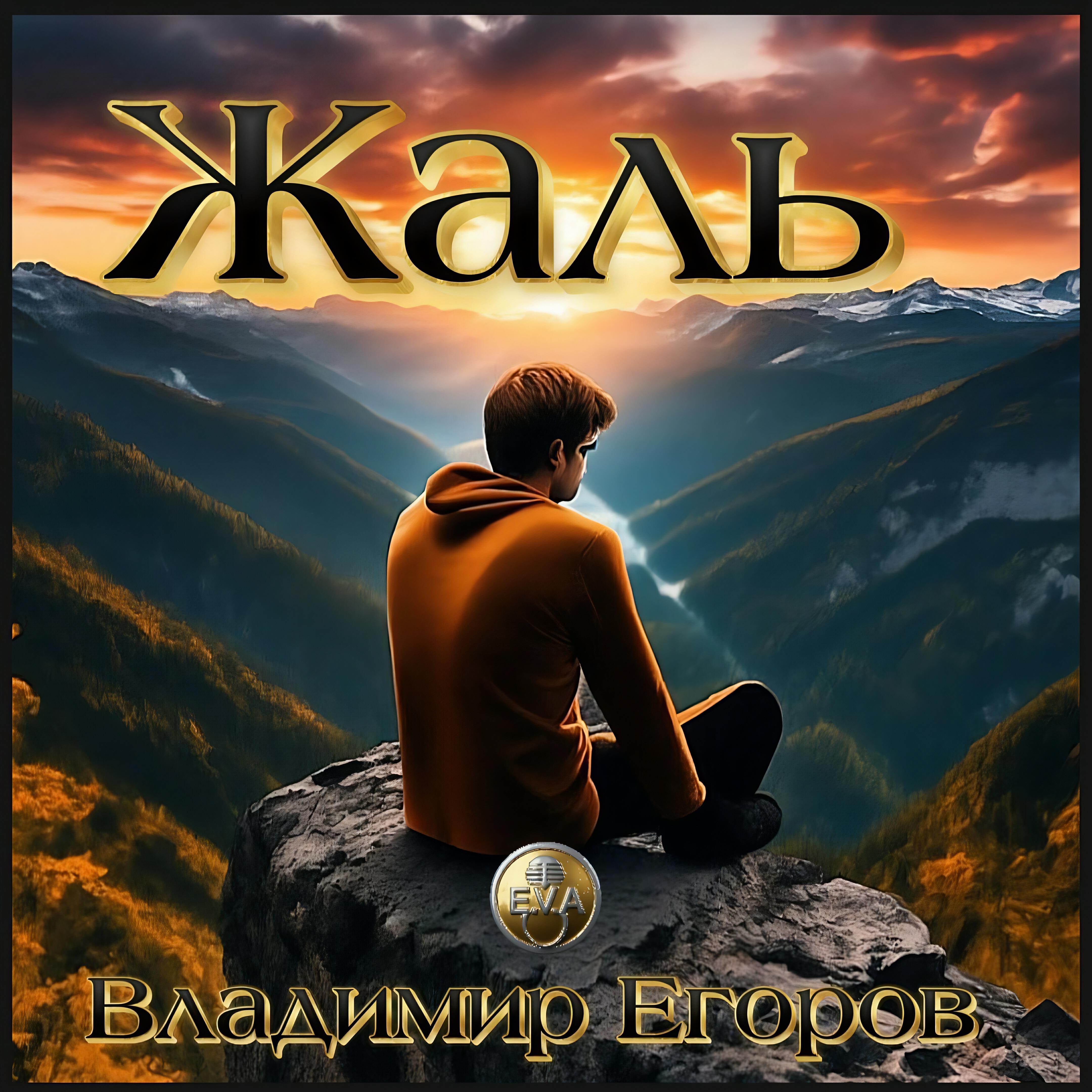 Релиз Жаль