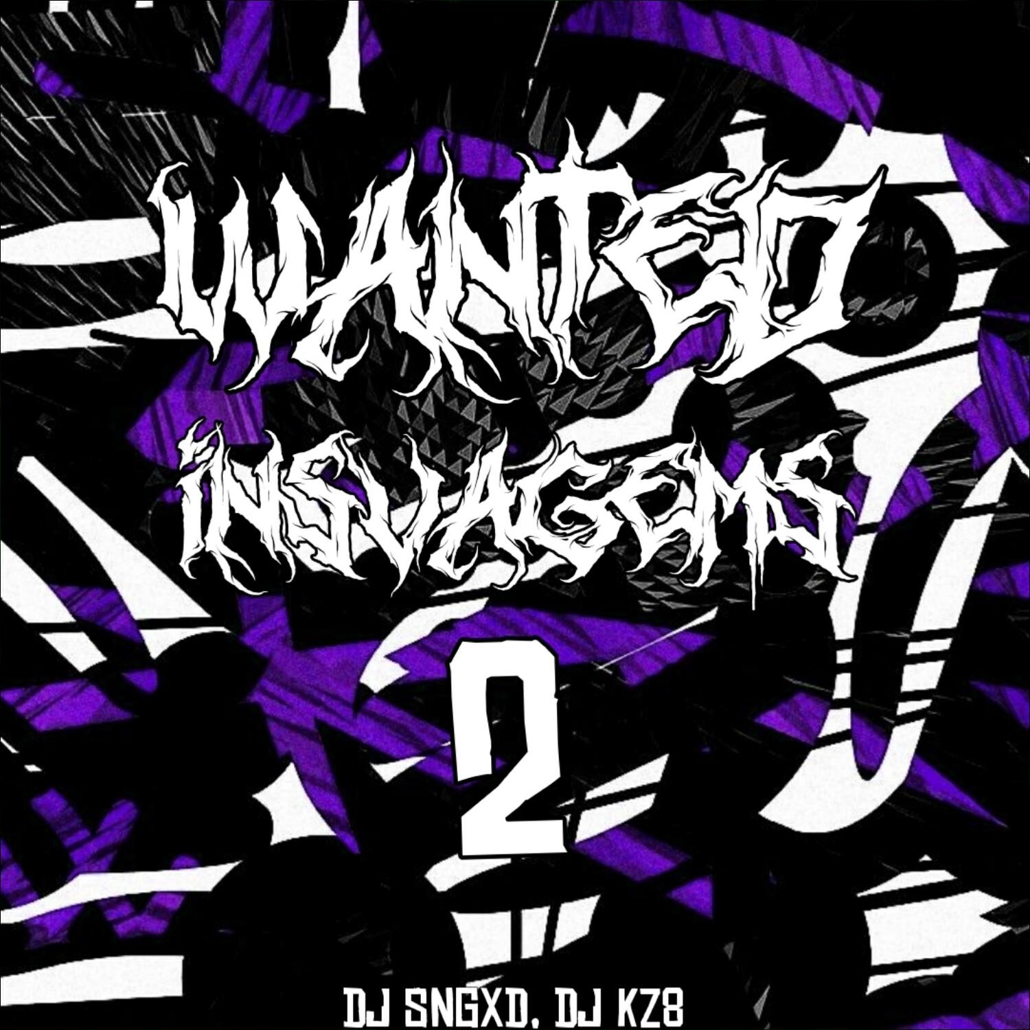 Постер альбома Wanted Insvagems 2 (feat. Dj Kz8)