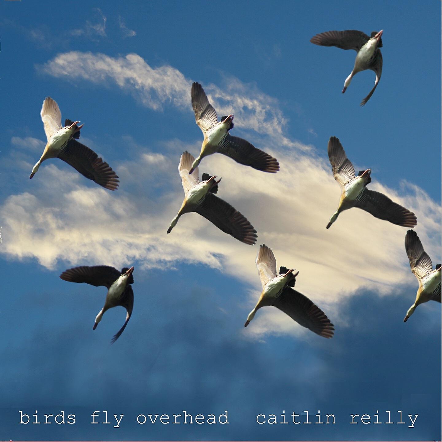 Релиз Birds Fly Overhead