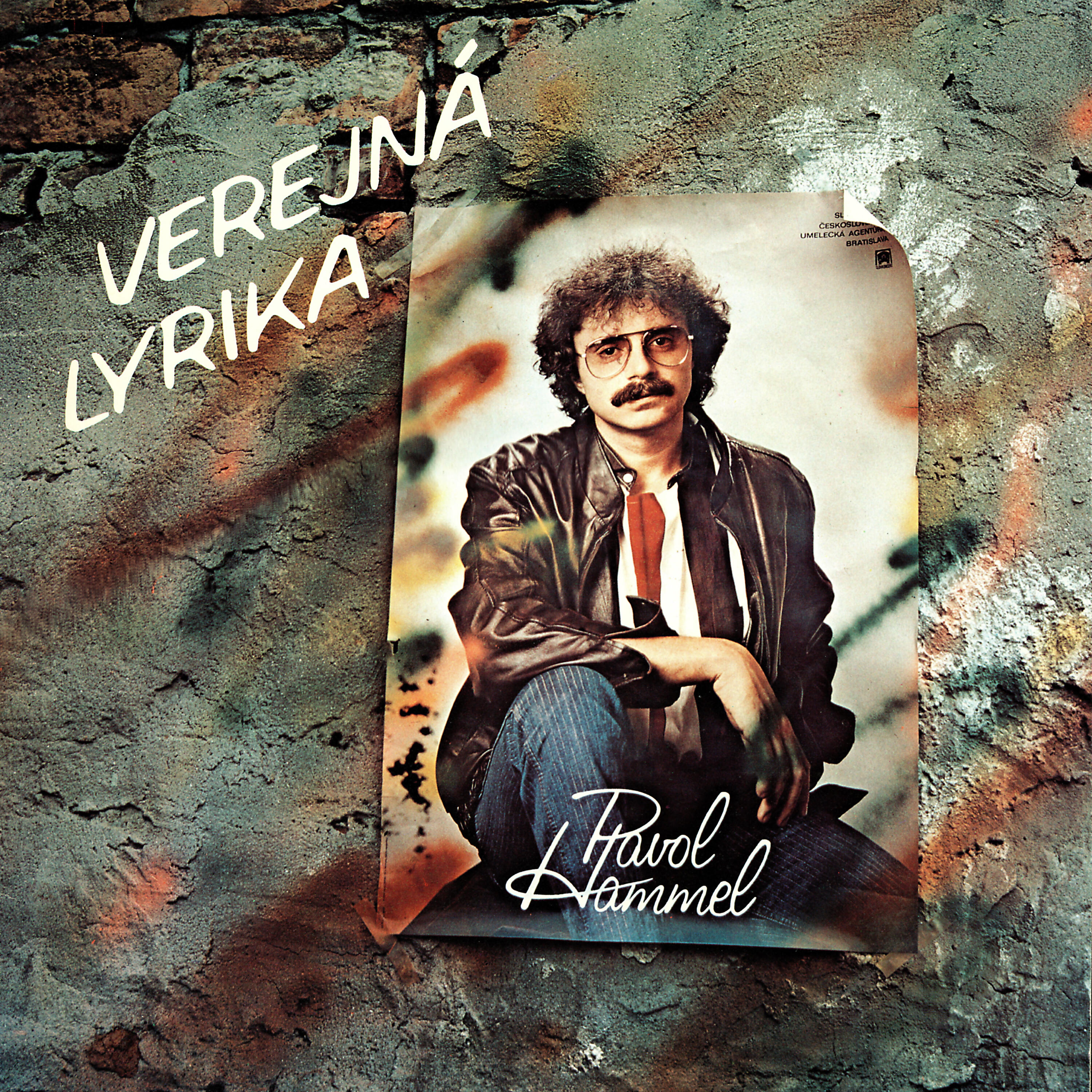 Релиз Verejná lyrika