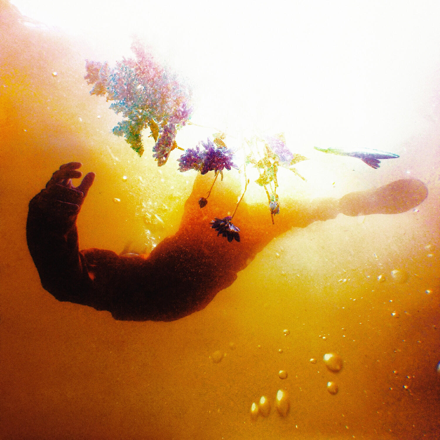 Релиз Led by the Sun (Remixes)