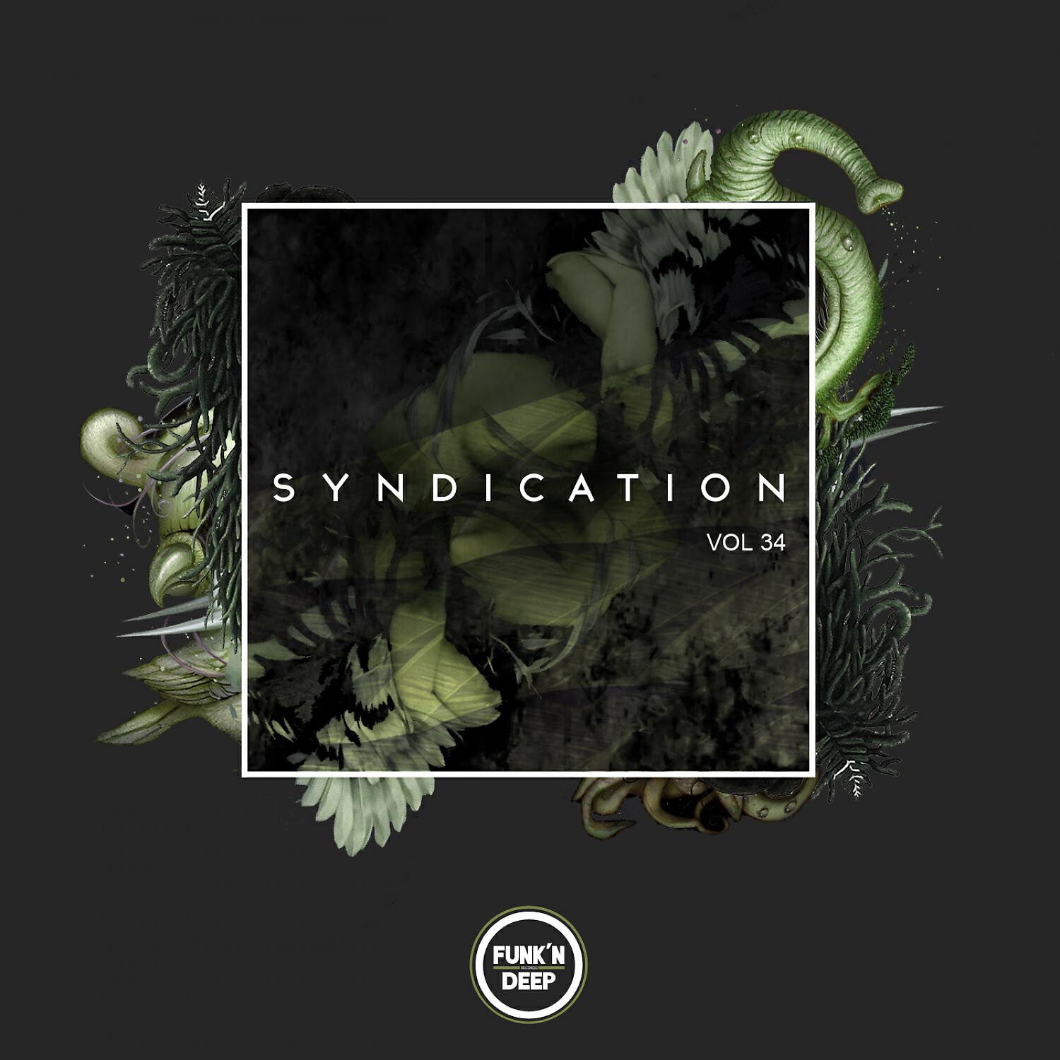 Релиз Syndication, Vol. 34