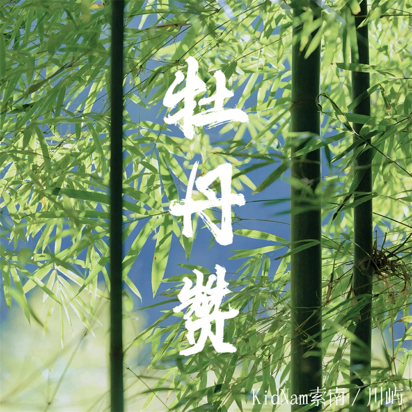 Релиз 牡丹赞
