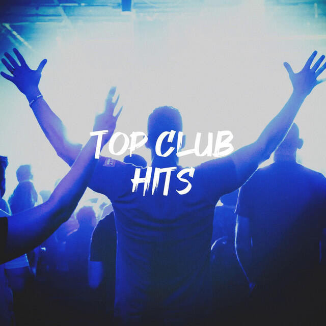 Релиз Top Club Hits