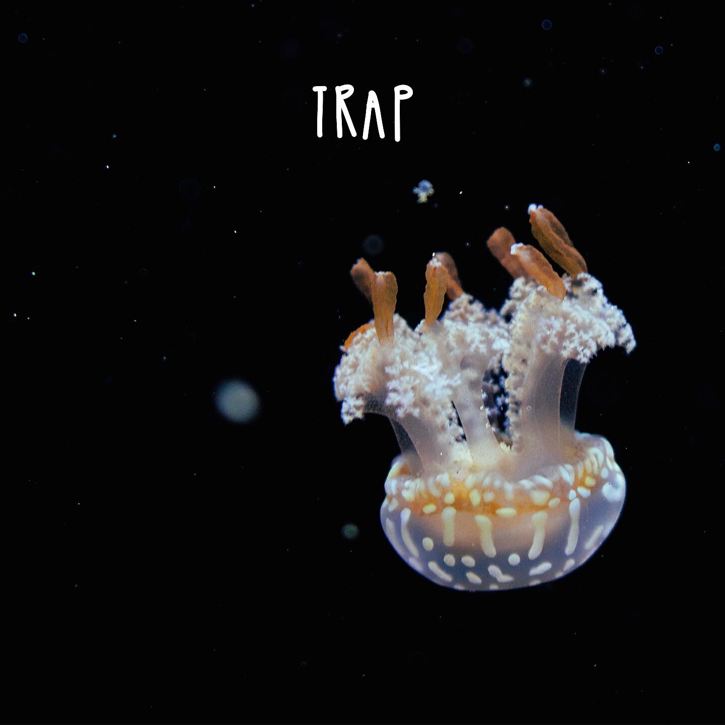 Релиз Trap