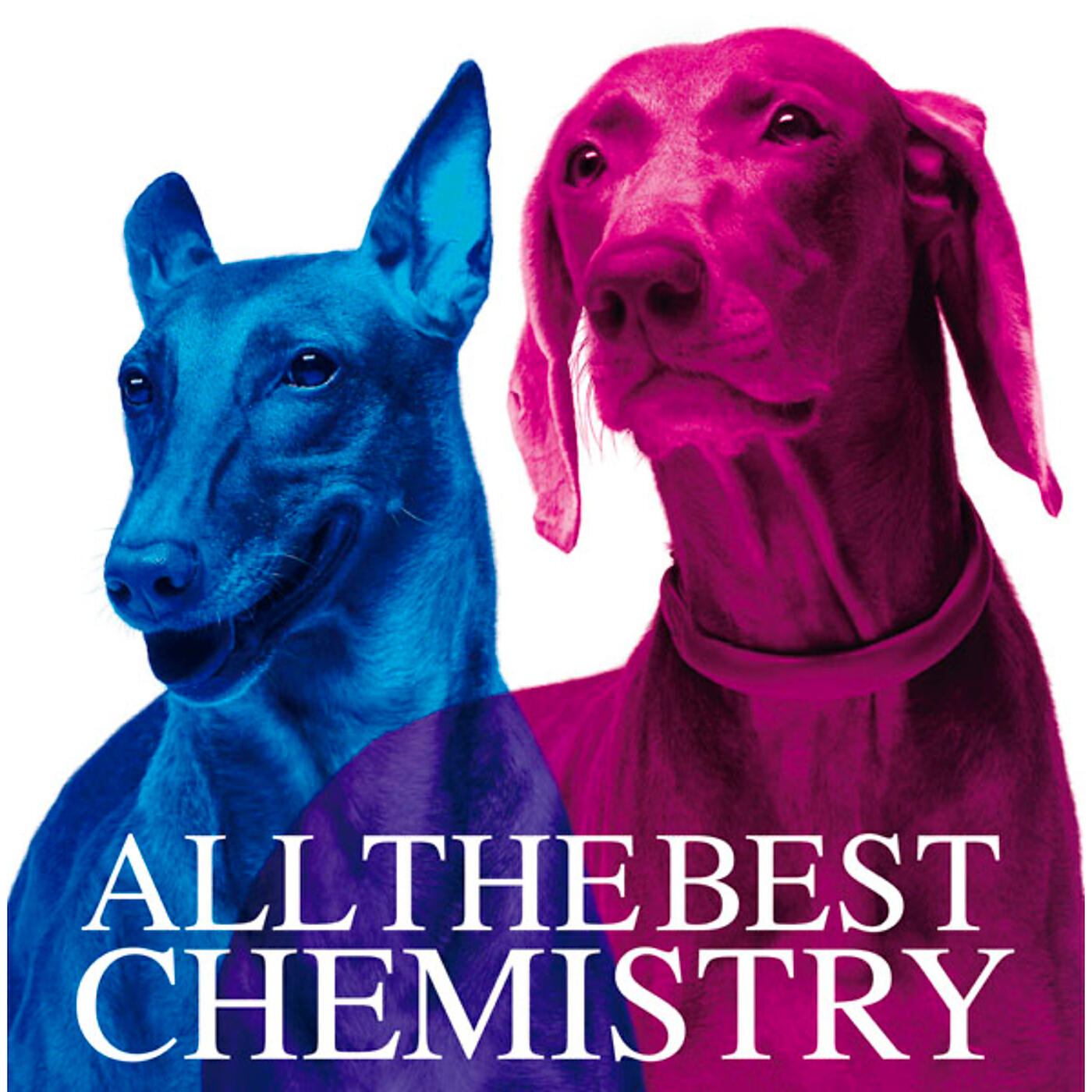 Релиз ALL THE BEST