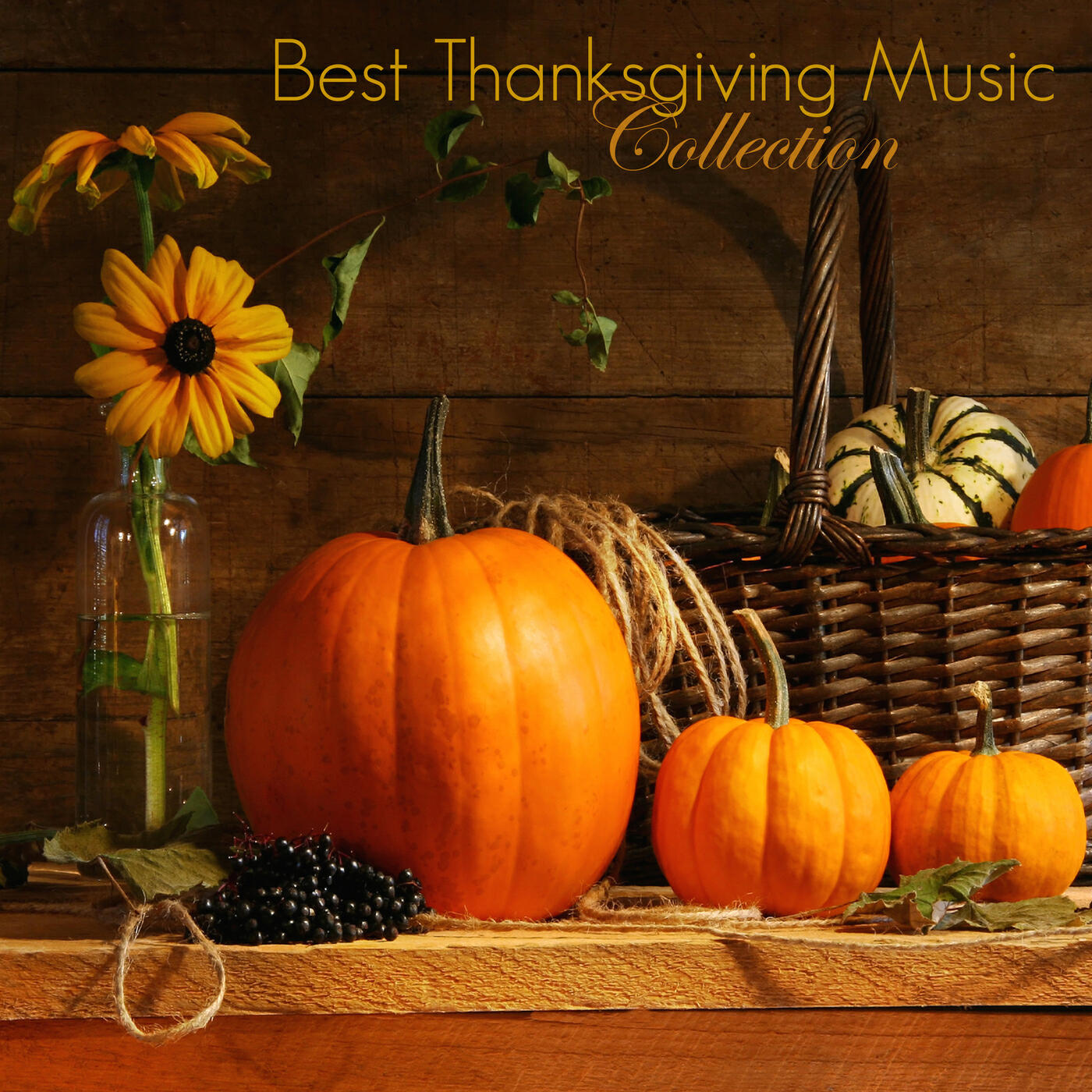 Thanksgiving Music Specialists