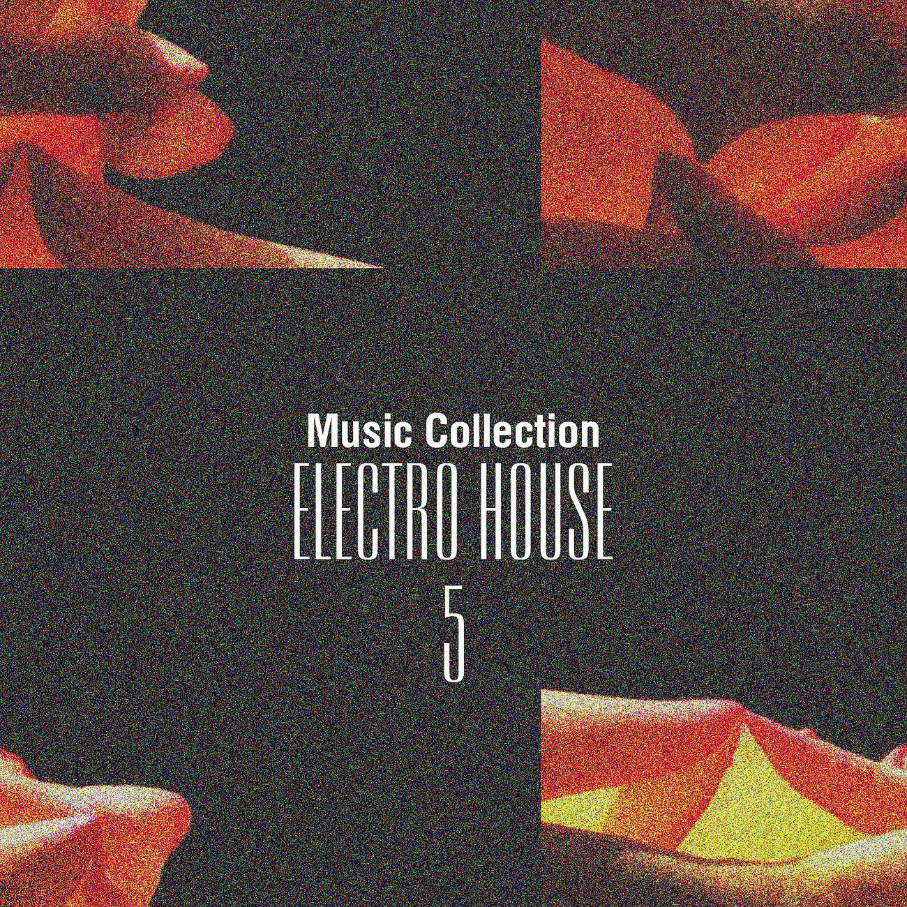 Релиз Music Collection. Electro House, Vol. 5