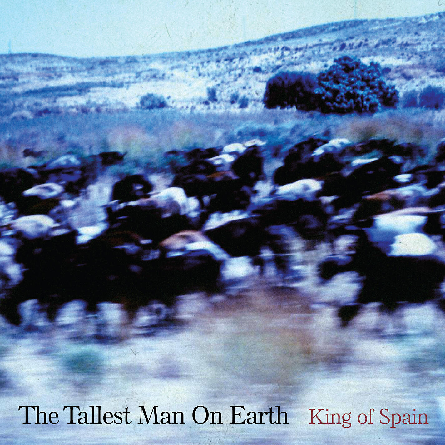 Постер альбома King of Spain