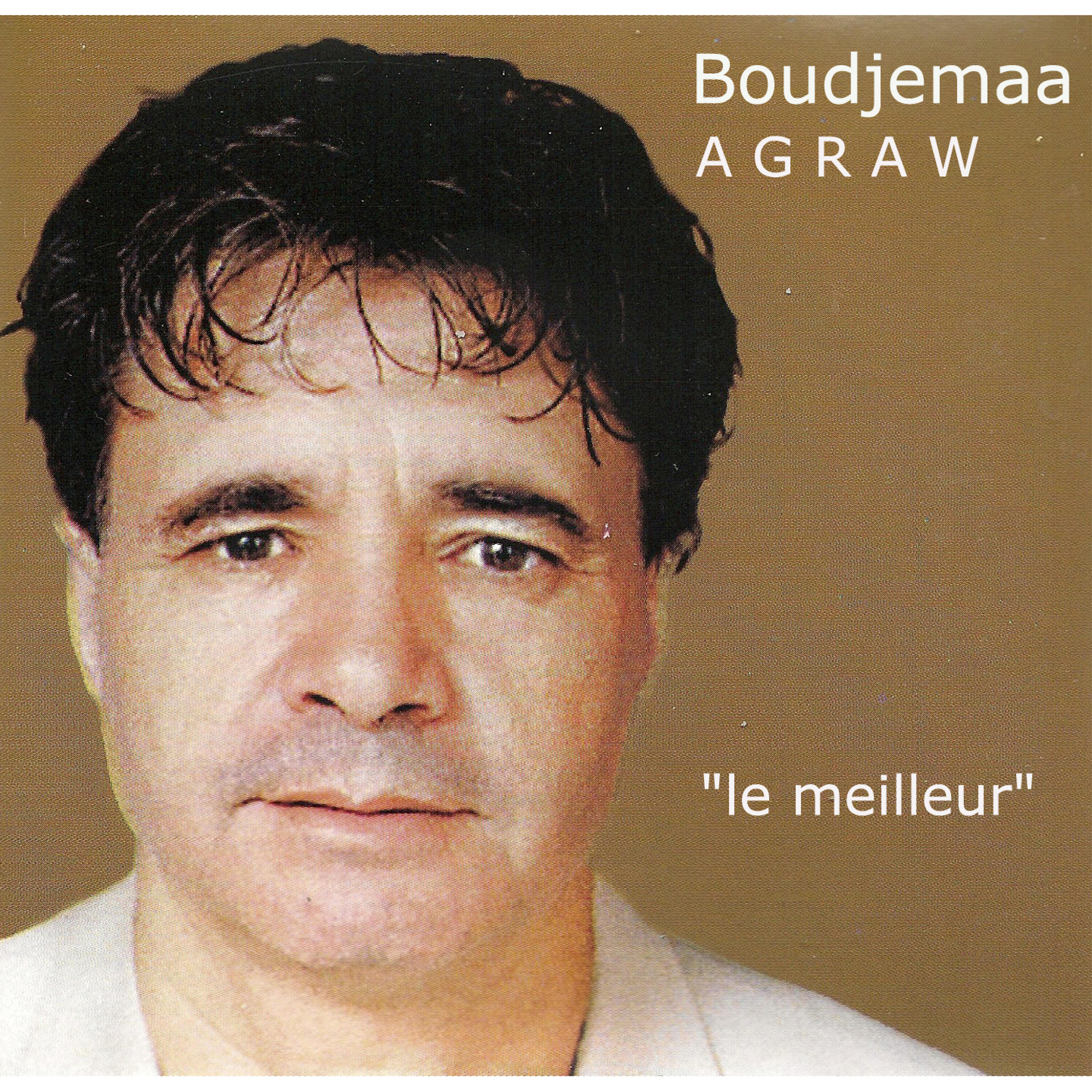 Релиз Le meilleur