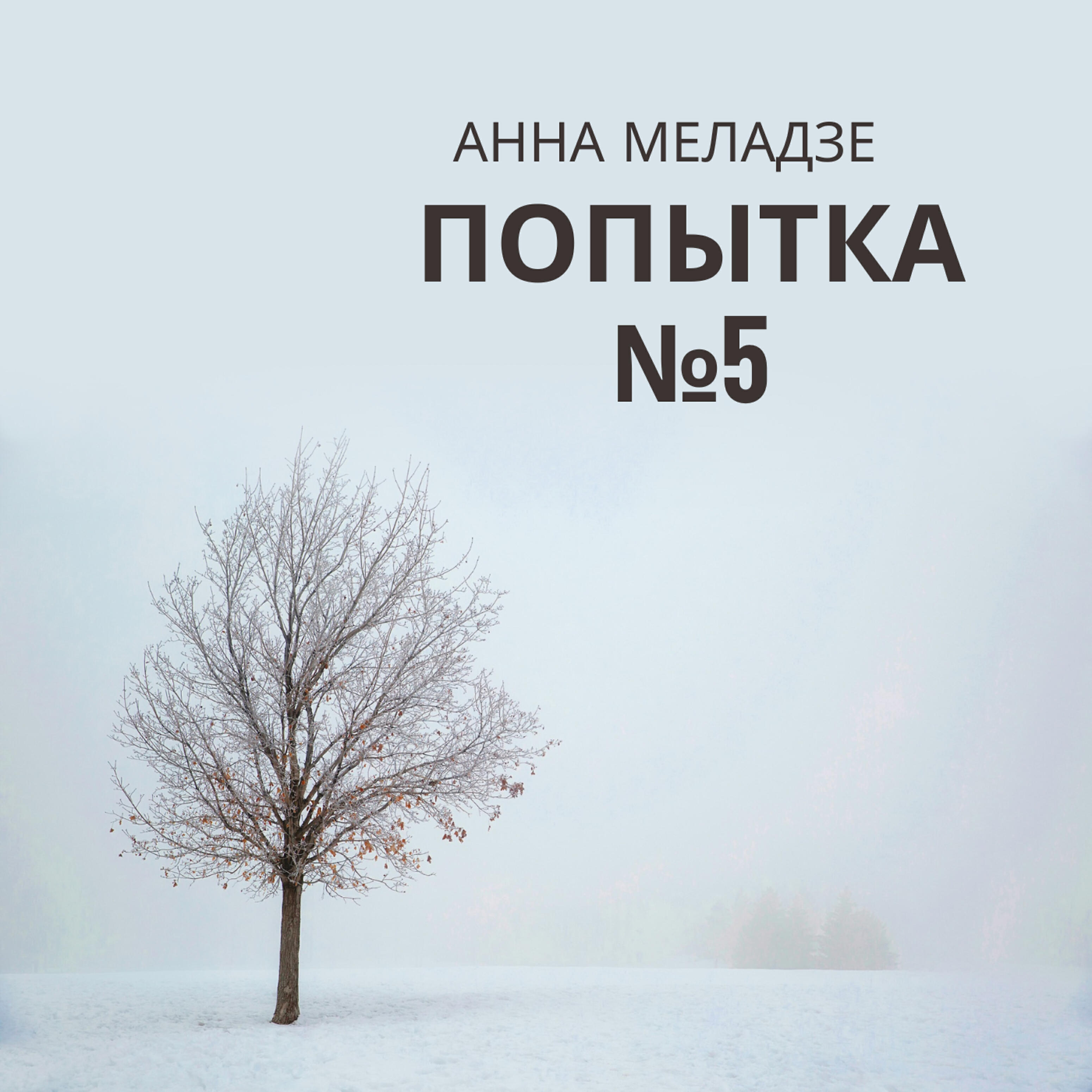 Релиз Попытка №5