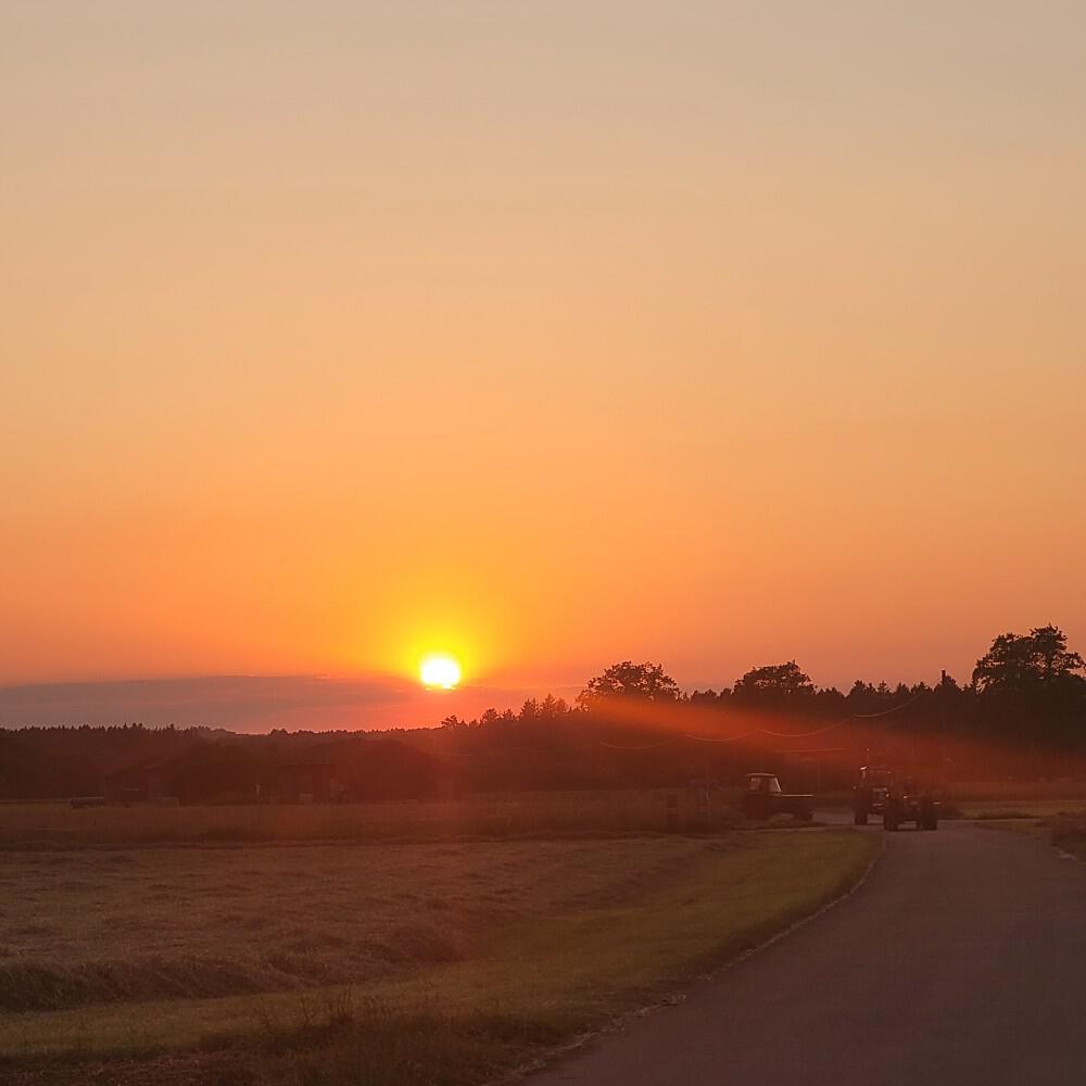Релиз Sunshine