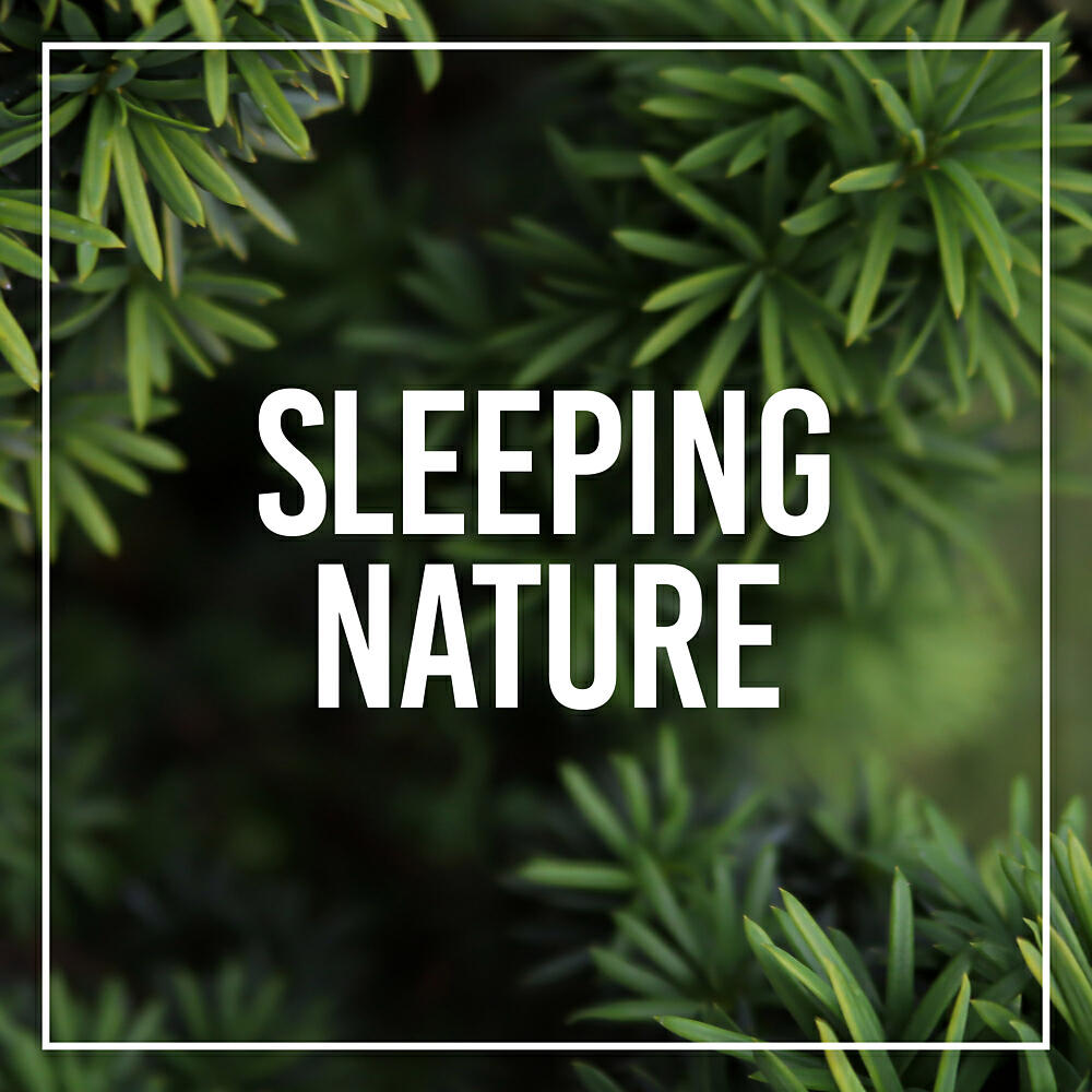 Релиз Sleeping Nature