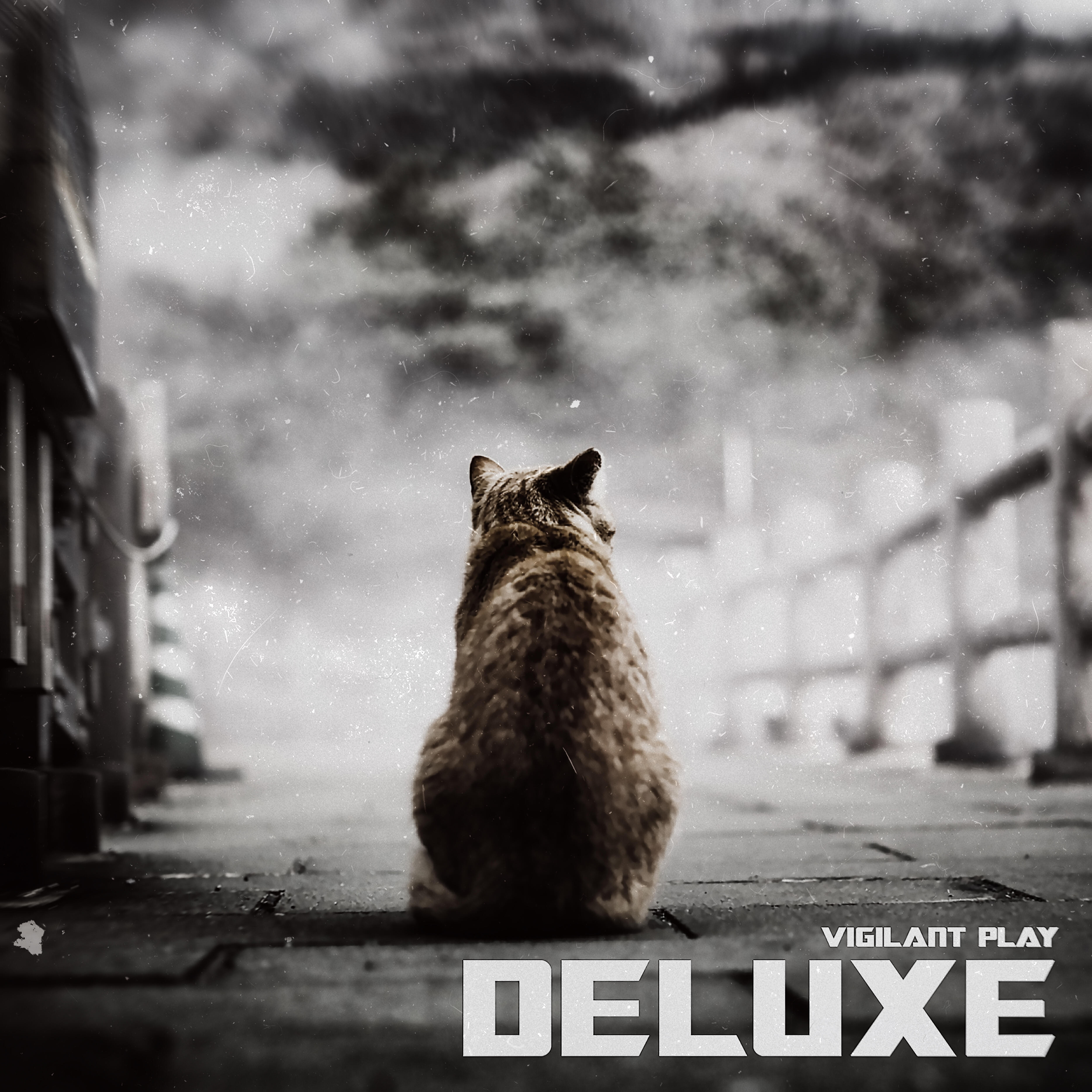 Релиз Deluxe