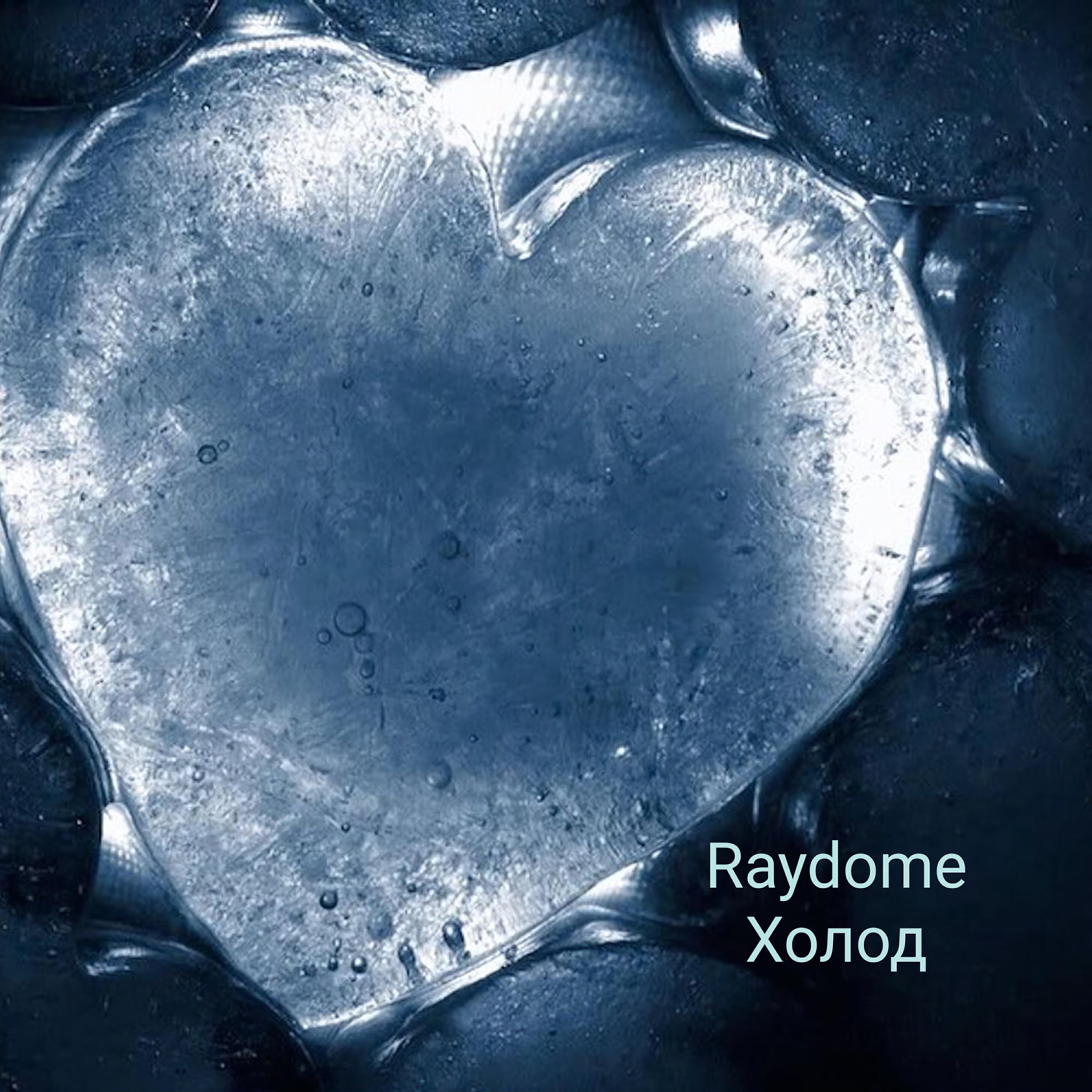 Raydome