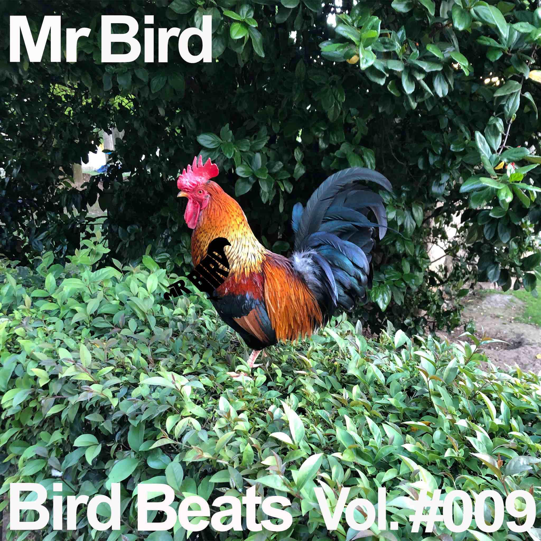 Релиз Bird Beats #009