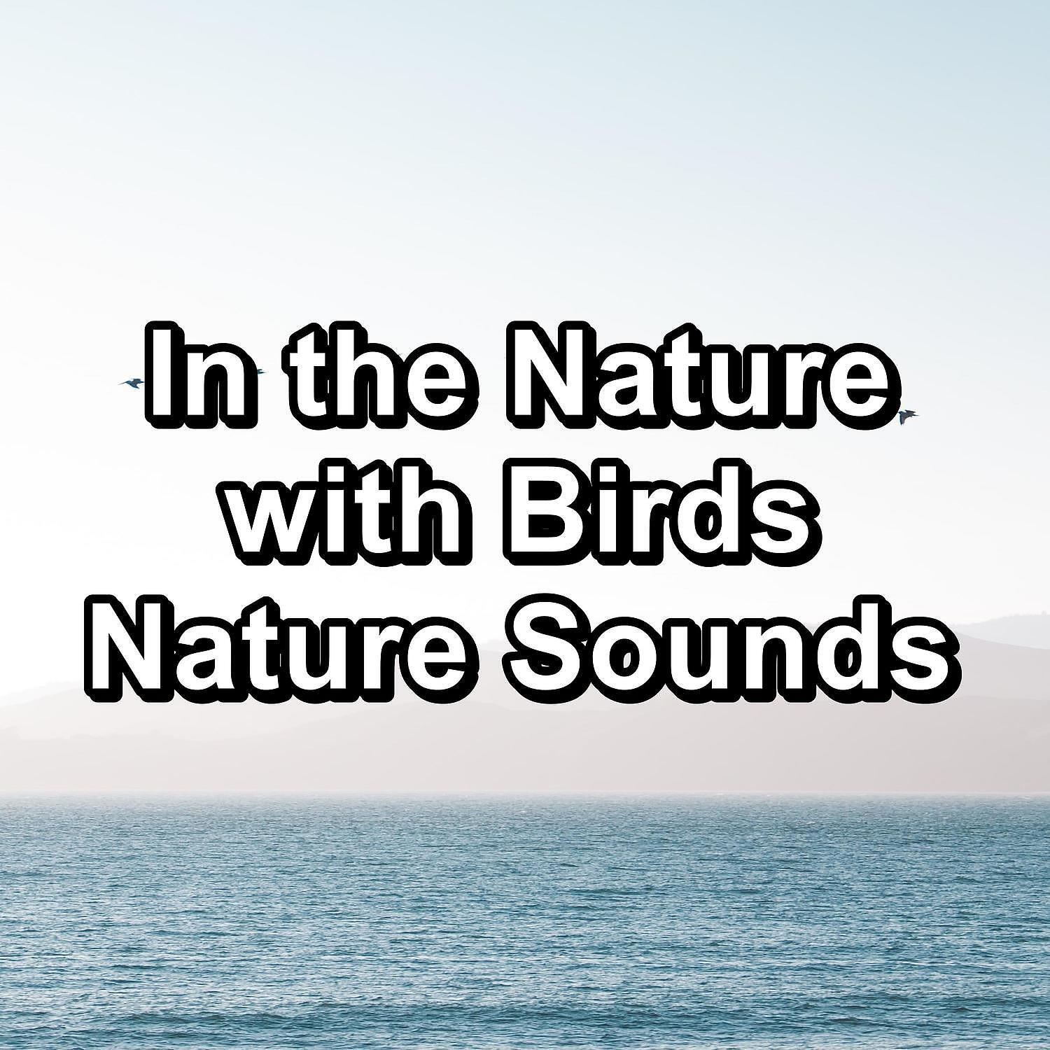 Релиз In the Nature with Birds Nature Sounds