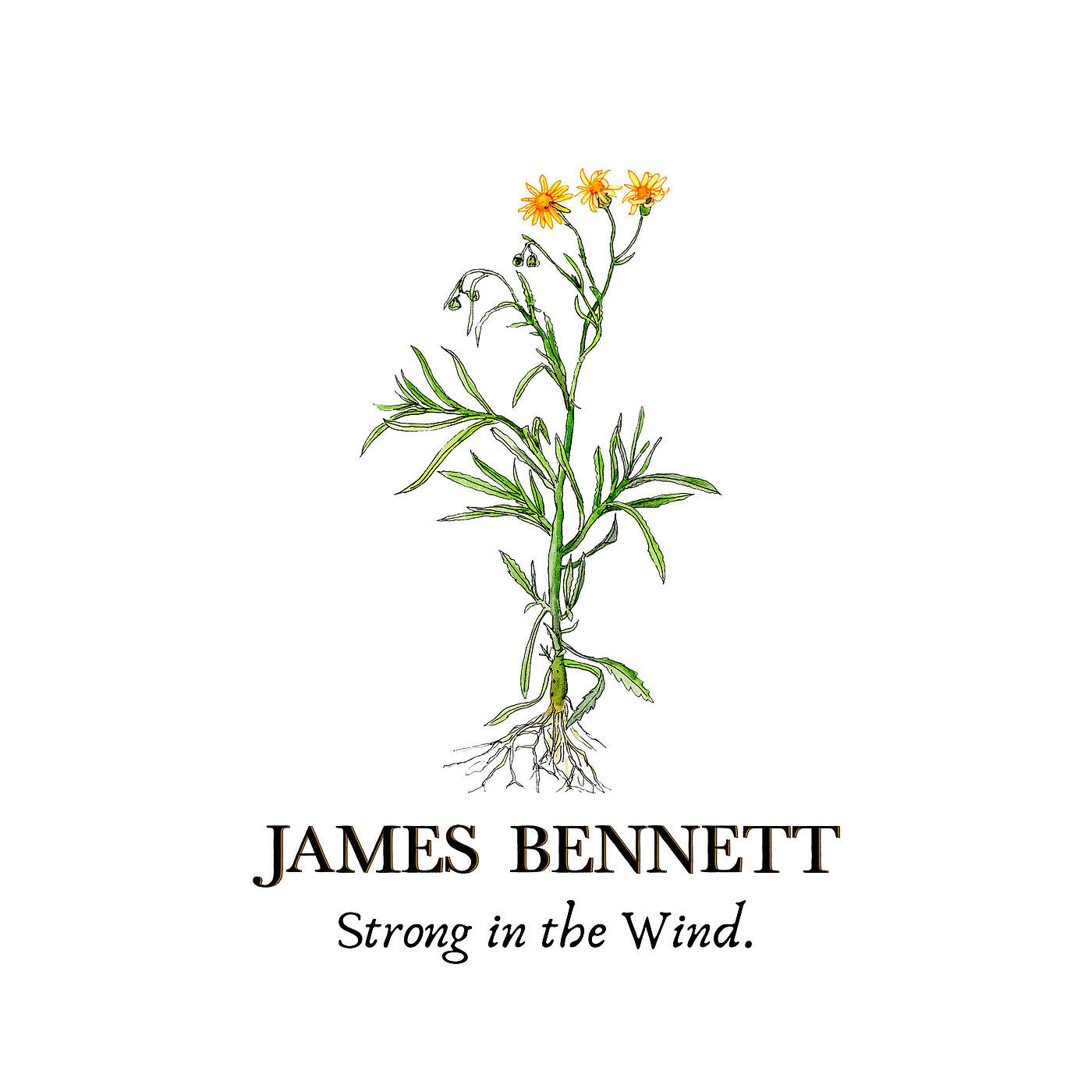 Релиз Strong in the Wind