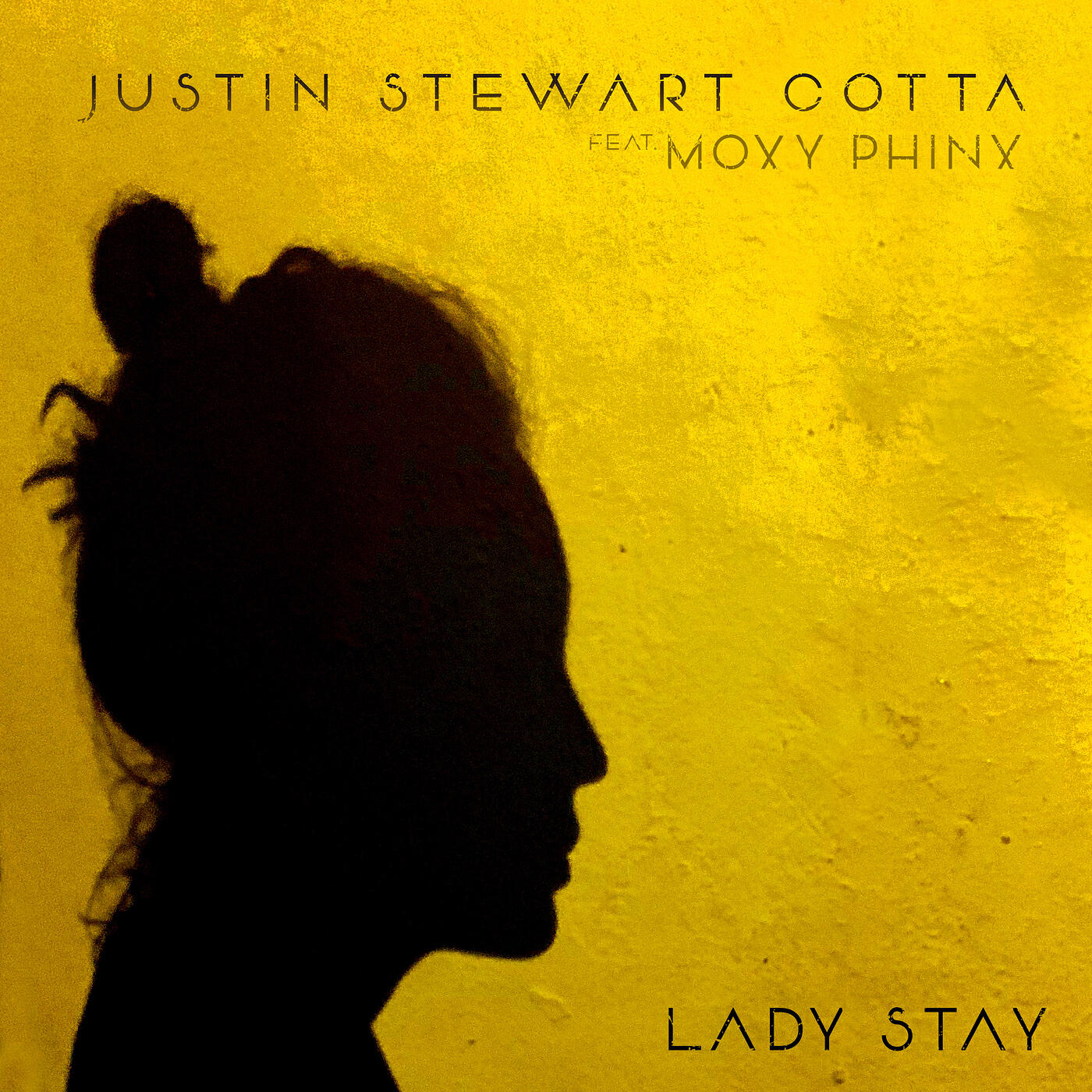 Постер альбома Lady Stay
