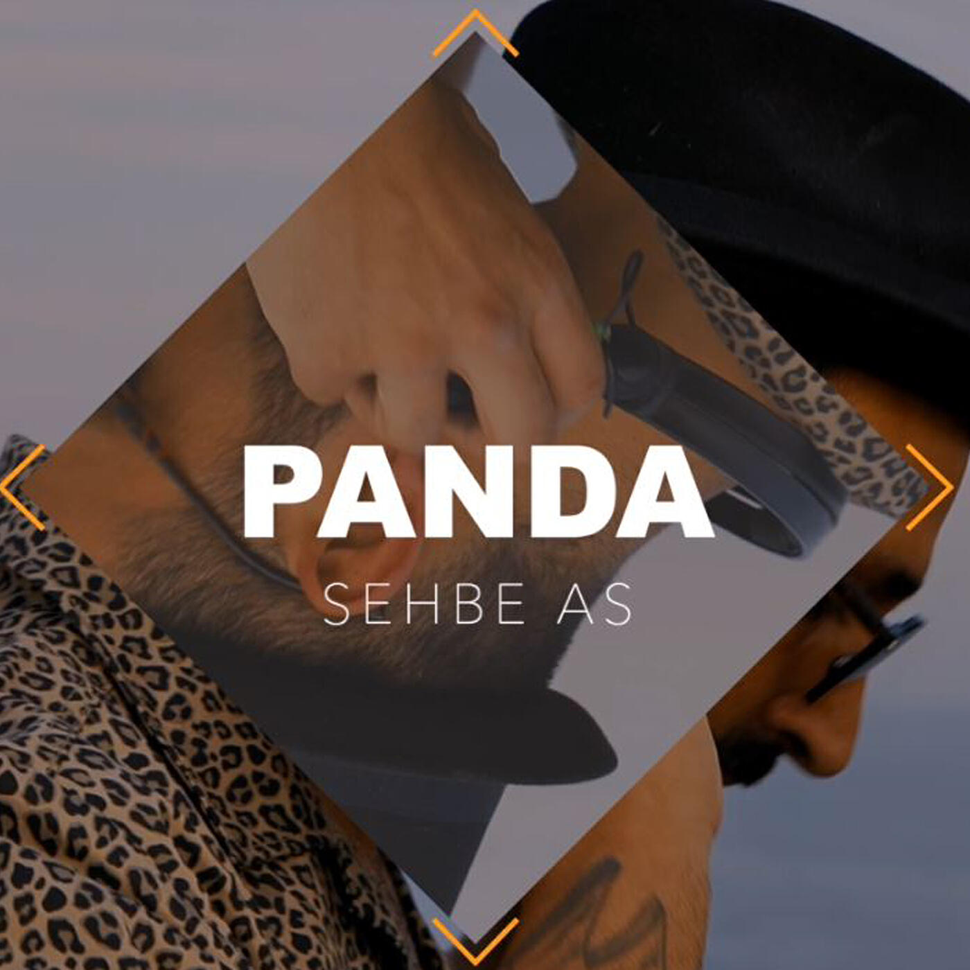 Релиз Panda