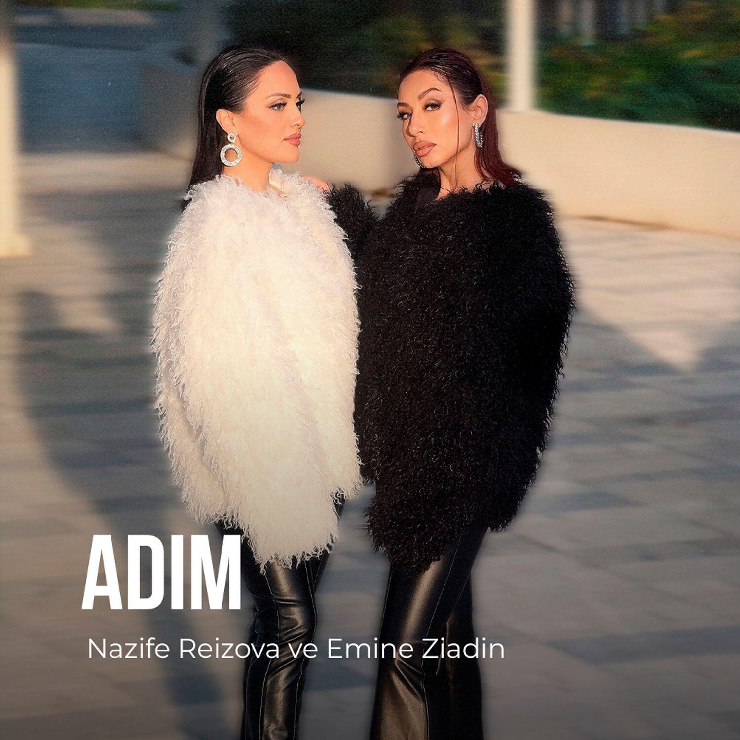 Релиз Adim