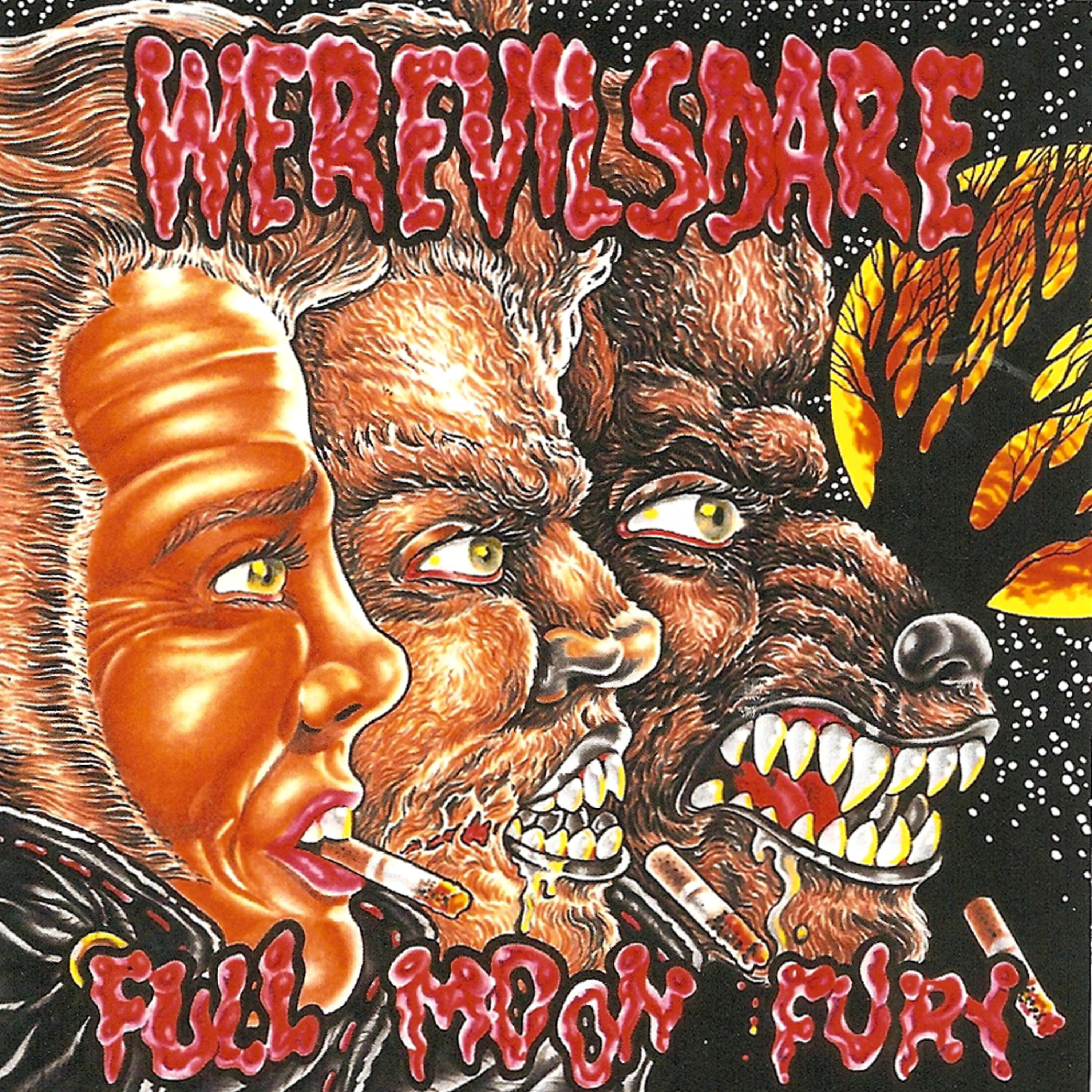 Постер альбома Full Moon Fury