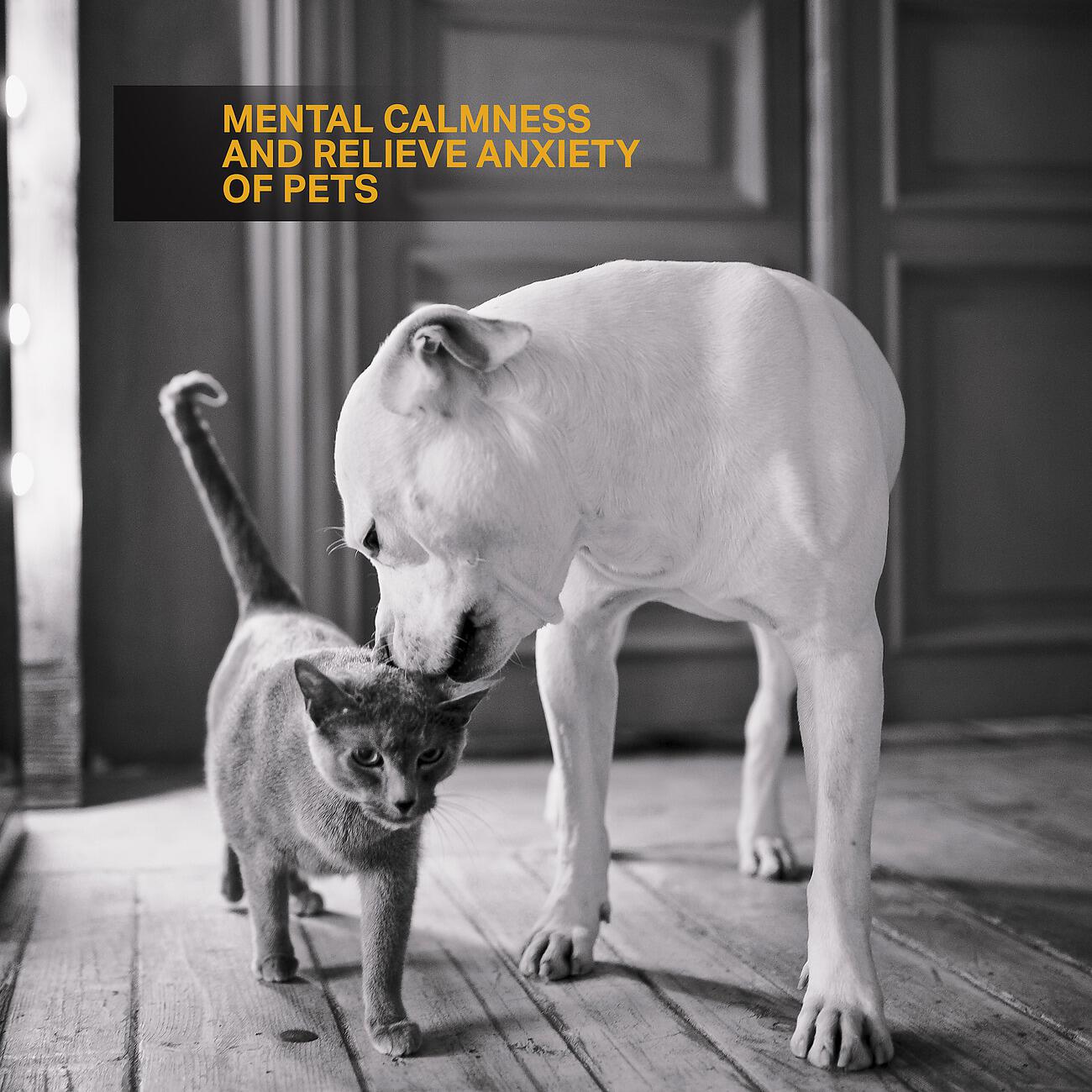 Релиз Mental Calmness and Relieve Anxiety of Pets