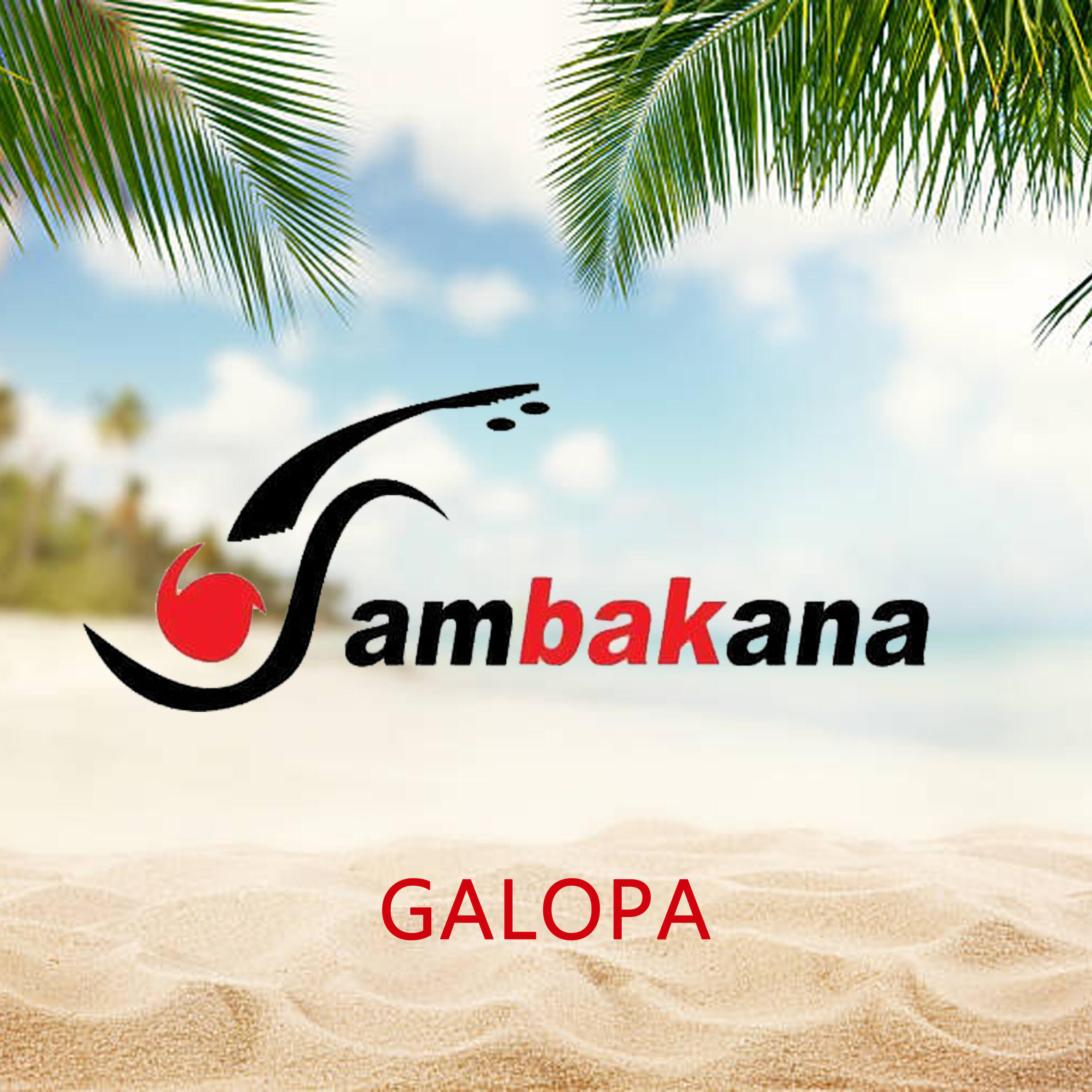 Релиз Galopa