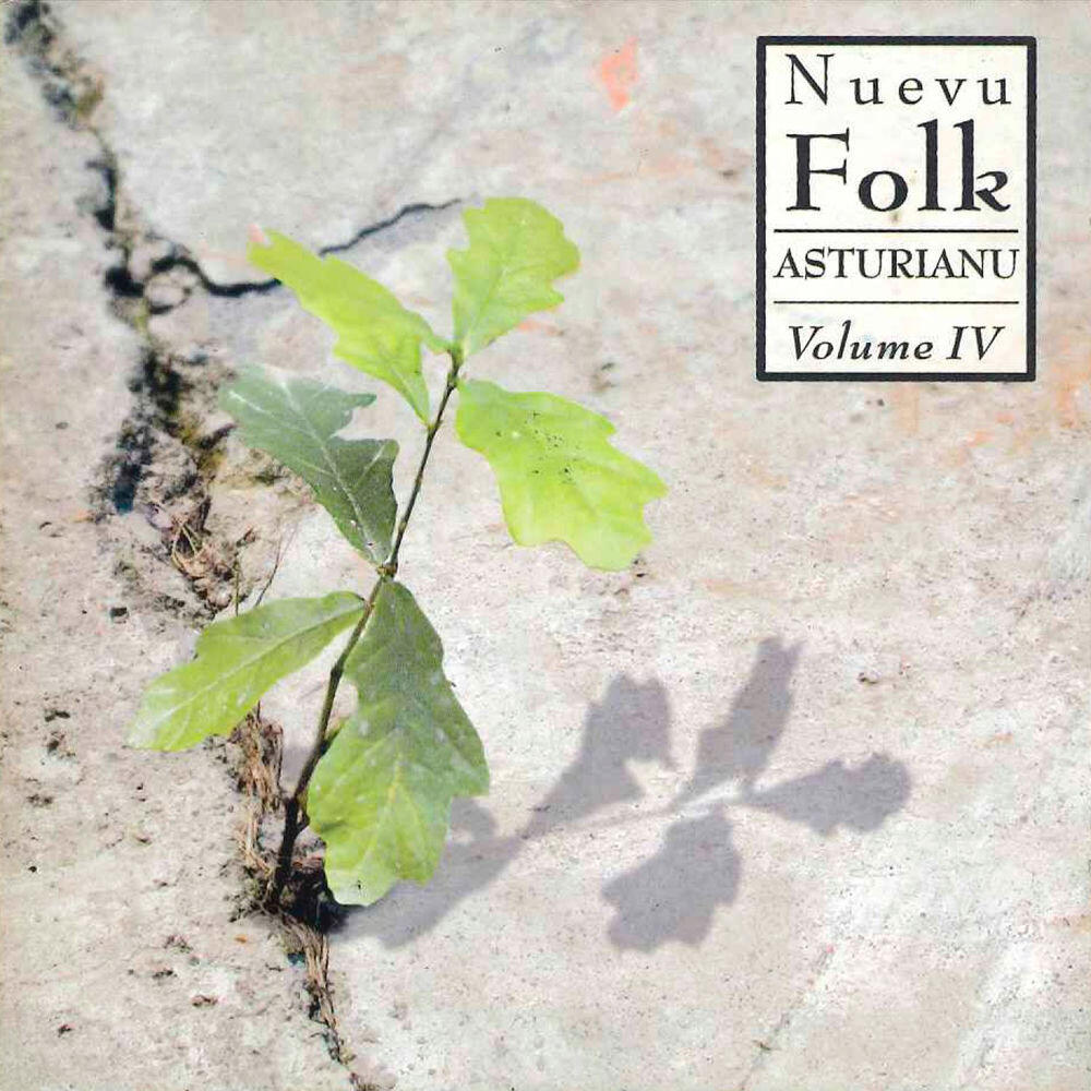 Релиз Nuevu Folk Asturianu Vol. 4