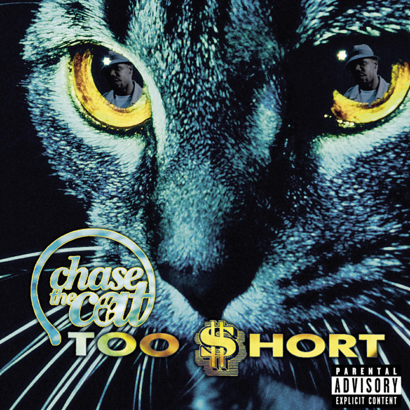 Релиз Chase the Cat