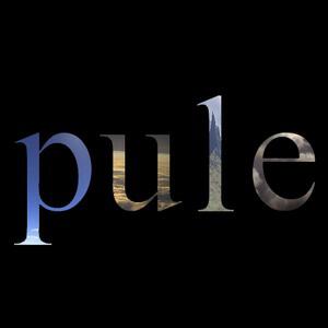 Pule все песни в mp3