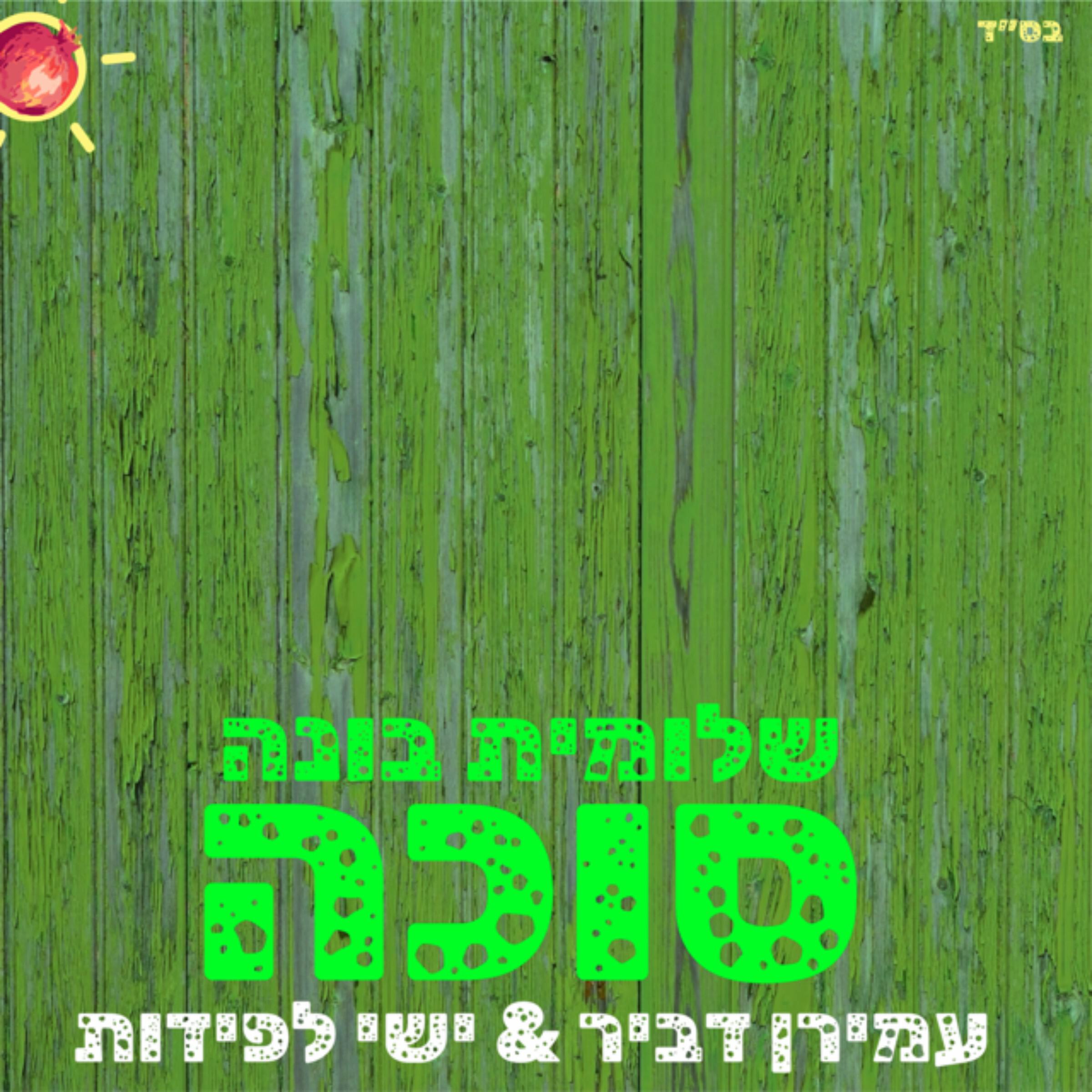 Релиз שלומית בונה סוכה