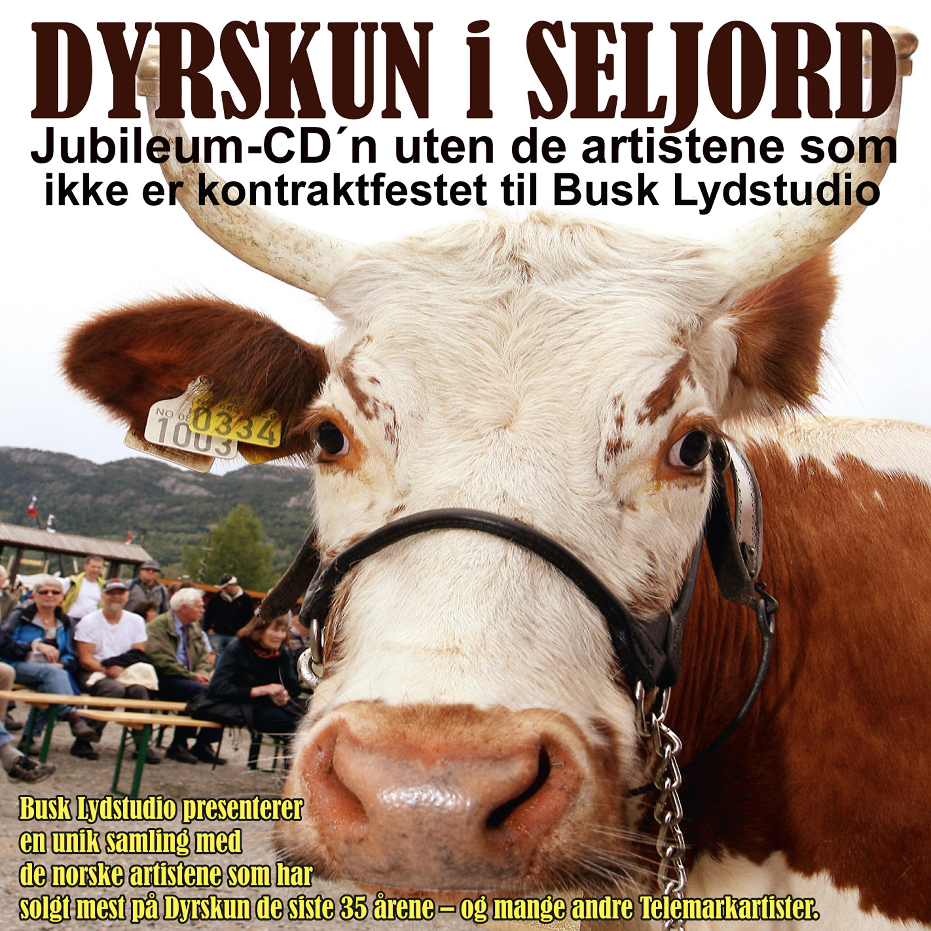 Релиз Dyrskun i Seljord Jubileum-CD
