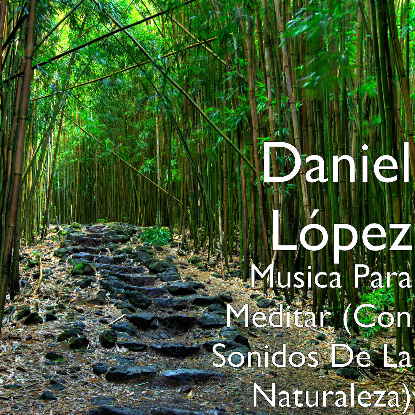 Релиз Musica Para Meditar (Con Sonidos De La Naturaleza)